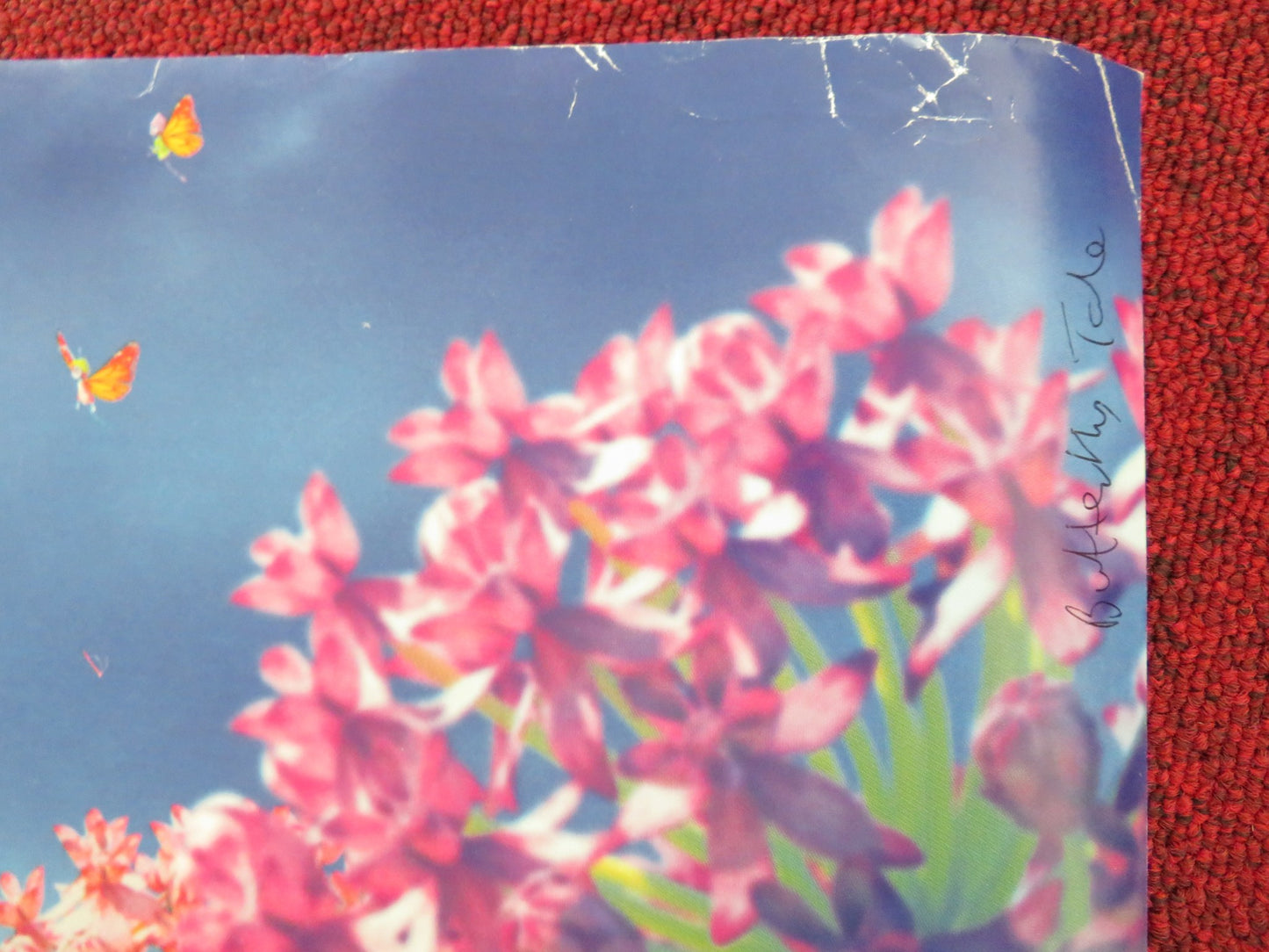 BUTTERFLY TALE UK QUAD ROLLED POSTER TATIANA MASLANY MENA MASSOUD 2023 - Rendezvous Cinema