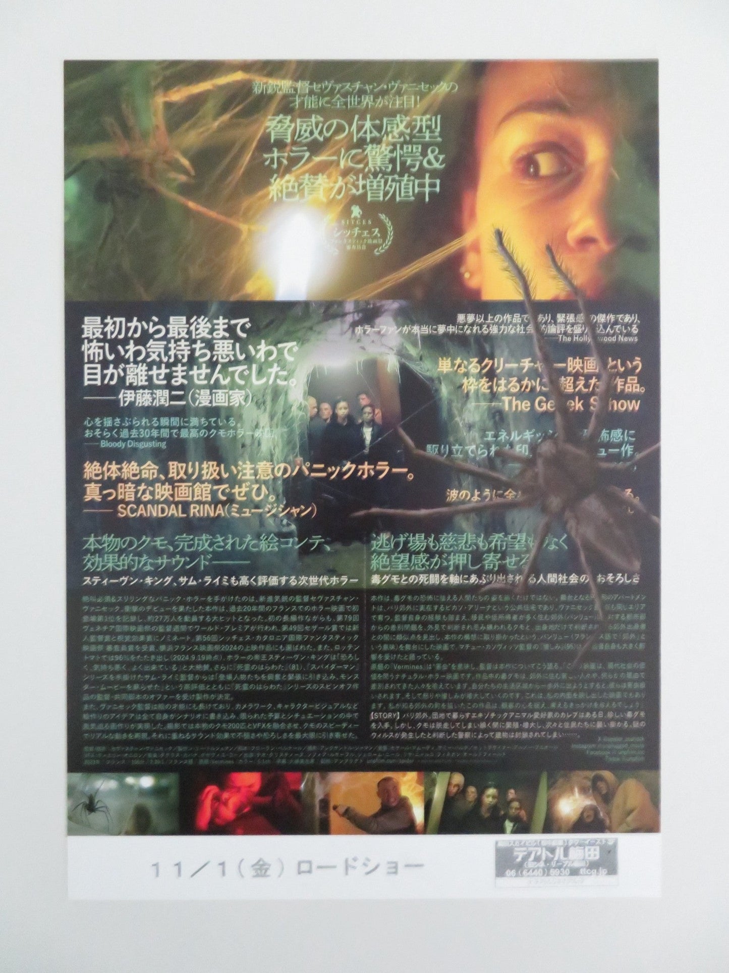 INFESTED - B JAPANESE CHIRASHI (B5) POSTER THEO CHRISTINE SOFIA LESAFFRE 2023 Rendezvous Cinema Movie posters