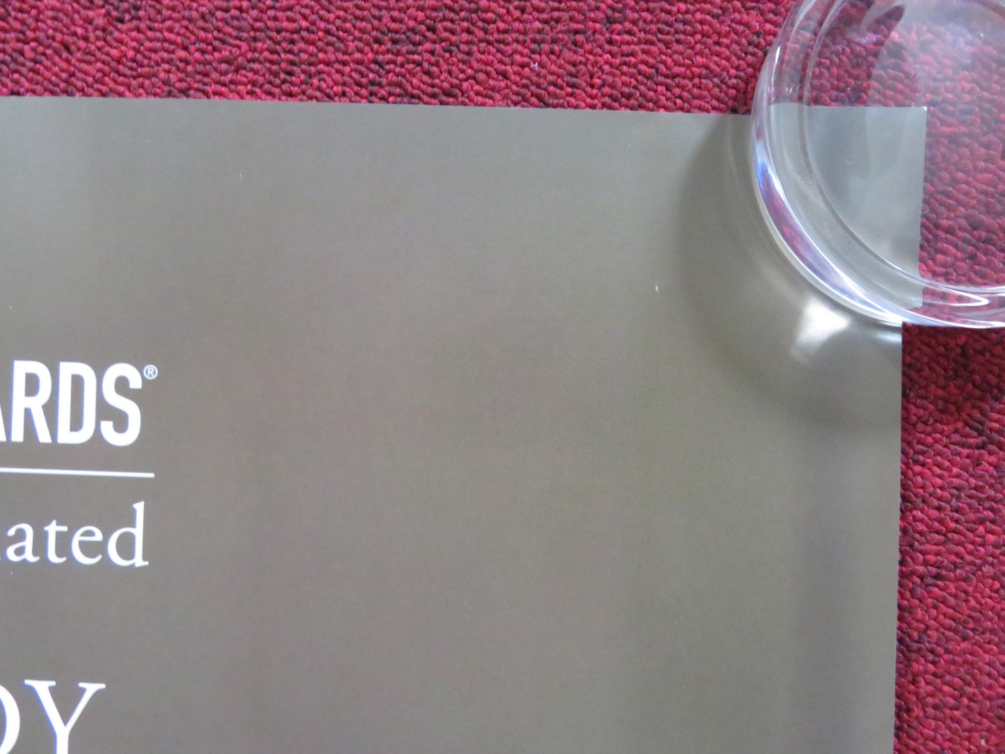 MARCEL THE SHELL WITH SHOES ON UK QUAD ROLLED POSTER JENNY SLATE 2021 Rendezvous Cinema Movie posters