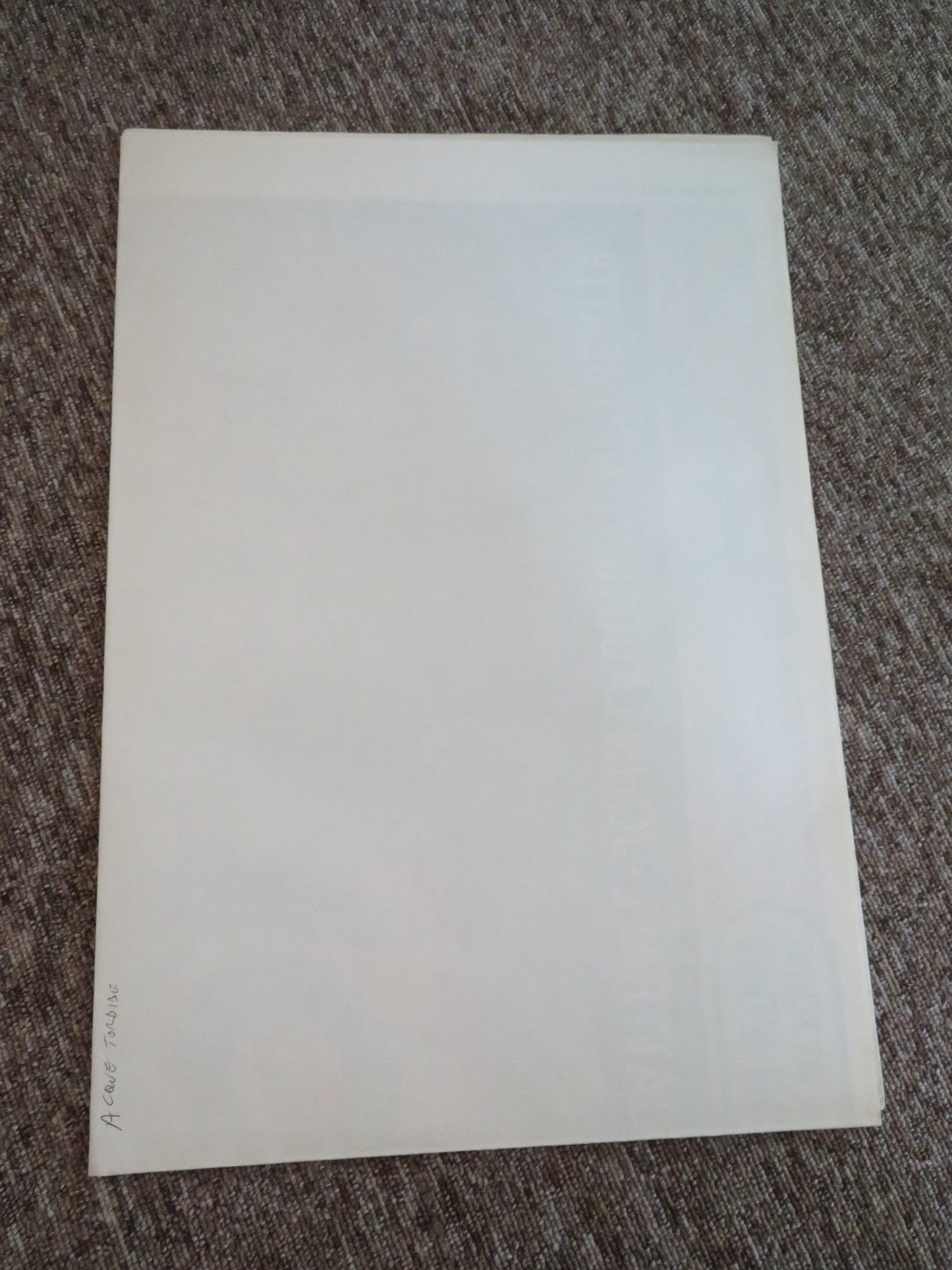 MIDNIGHT CROSSING ITALIAN 2 FOGLIO POSTER FAYE DUNAWAY KIM CATTRALL 1989 Rendezvous Cinema Movie posters