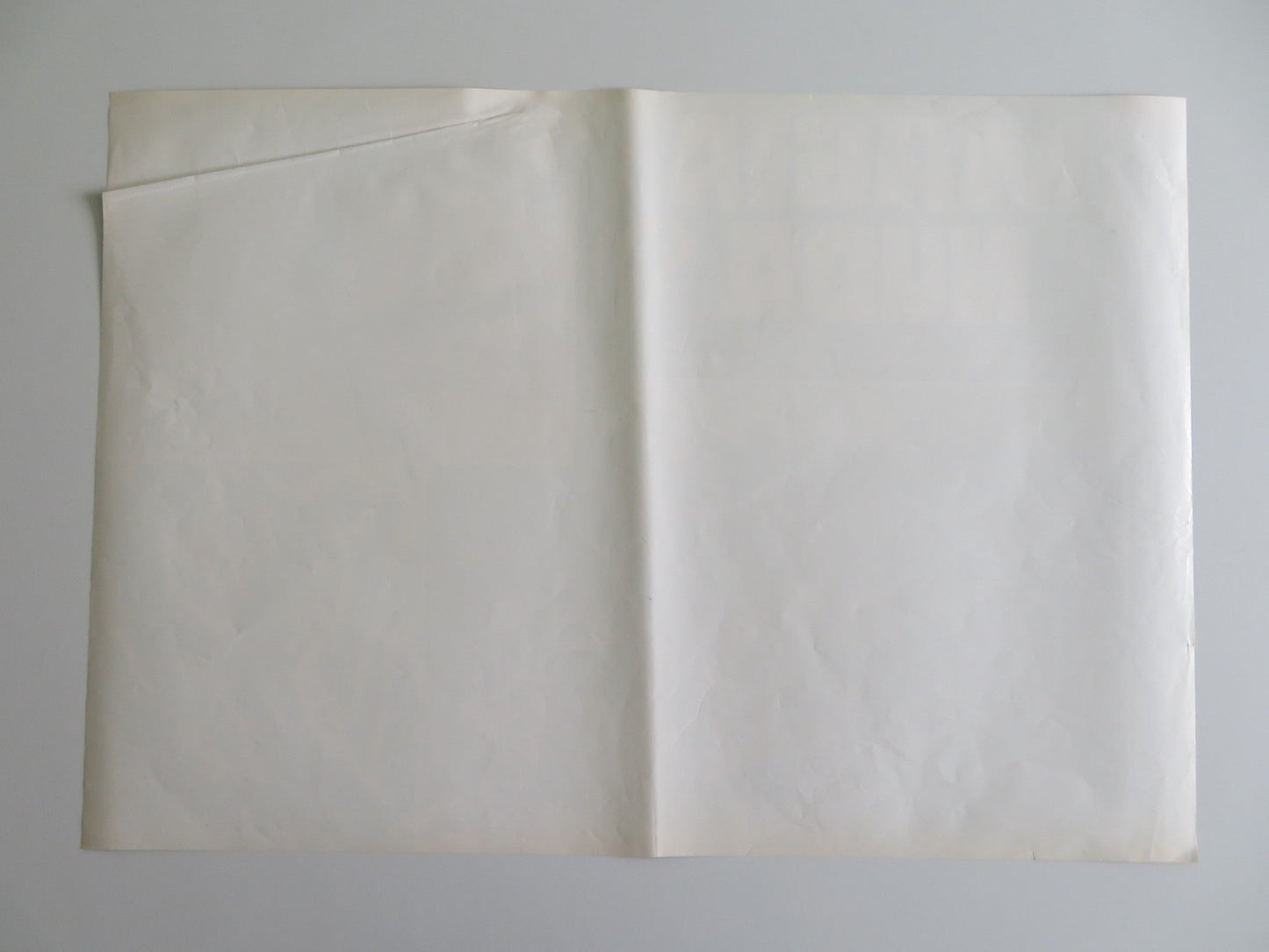 MONDO MAGIC - B ITALIAN FOTOBUSTA POSTER RICCARDO CUCCIOLLA 1975 Rendezvous Cinema Movie posters