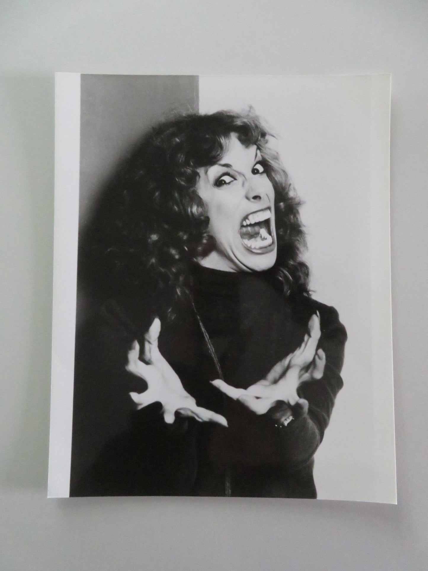 National Lampoon's Class Reunion - B MOVIE STILL PHOTO LOT OF 11 G. GRAHAM 1982 Movie posters