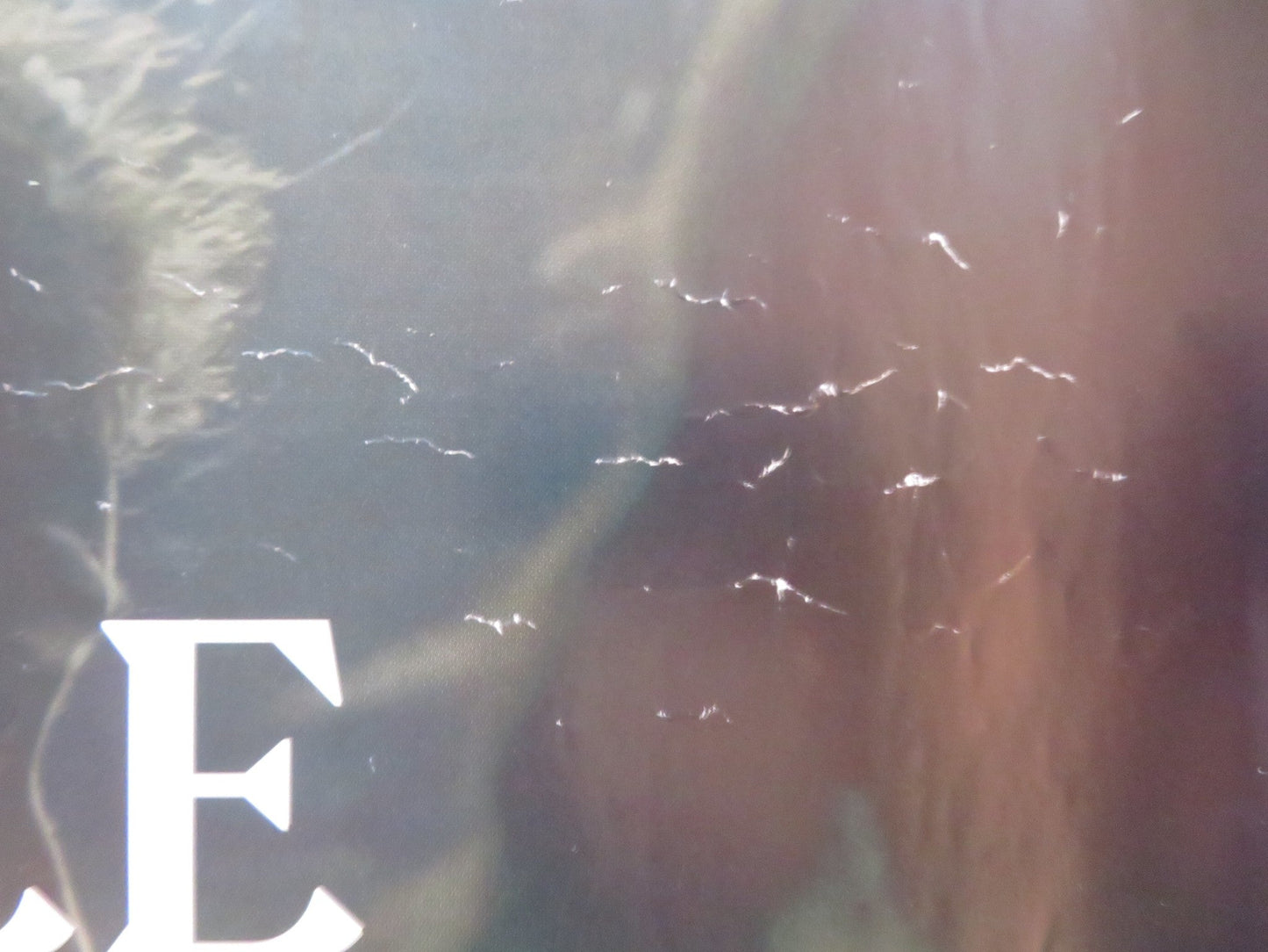 NATIONAL THEATRE LIVE: THE CRUCIBLE UK QUAD ROLLED POSTER BRENDAN COWELL 2023 Rendezvous Cinema Movie posters