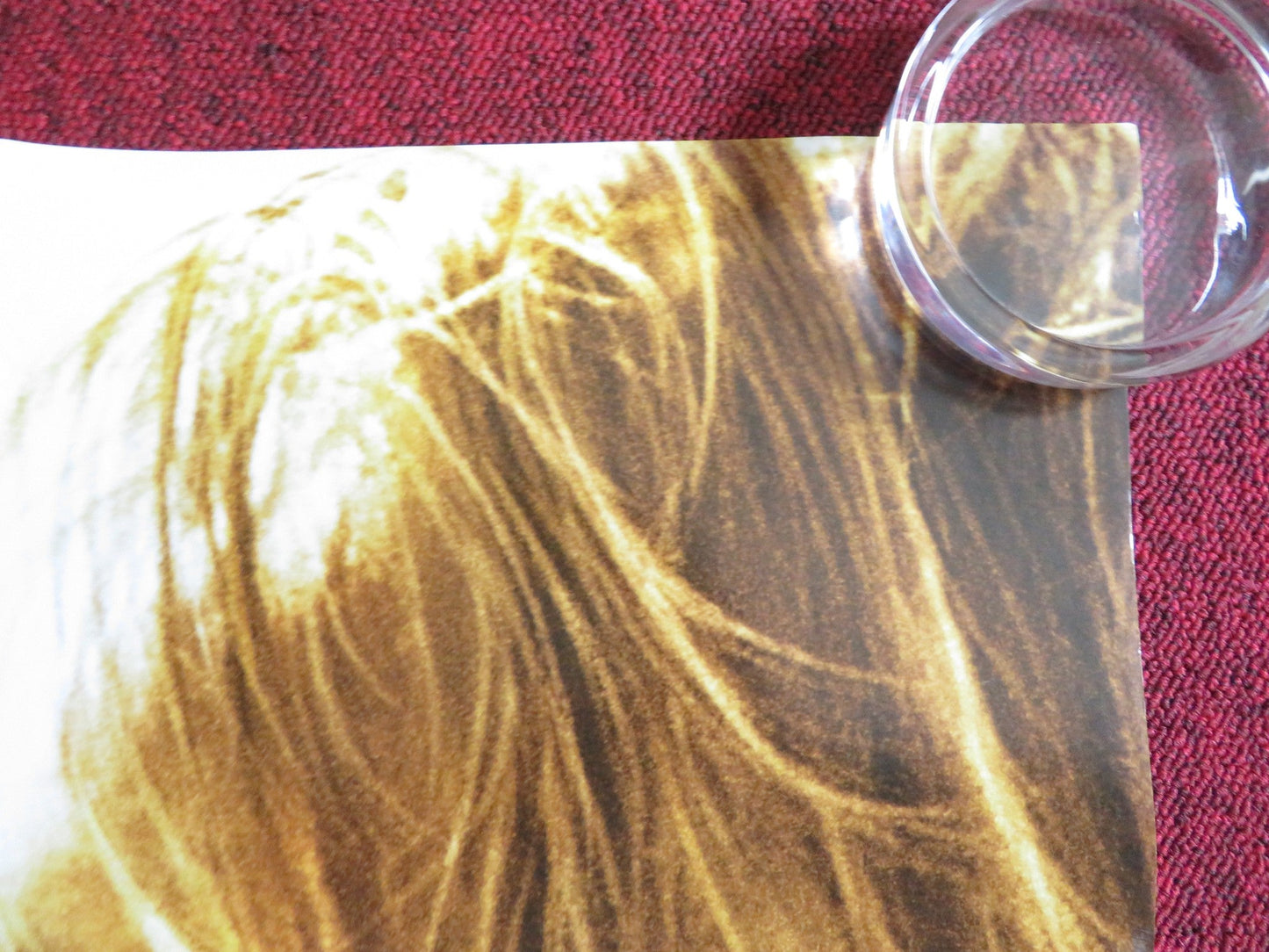 NIGHTS IN RODANTHE - B US ONE SHEET ROLLED POSTER RICHARD GERE DIANE LANE 2008 Rendezvous Cinema Movie posters