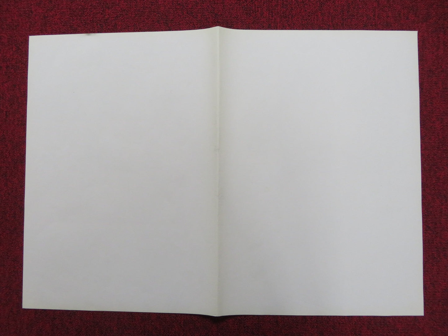 NO SIAM COME LE LUCCIOLE - A ITALIAN FOTOBUSTA POSTER ROBERT HOFFMAN 1976 Rendezvous Cinema Movie posters