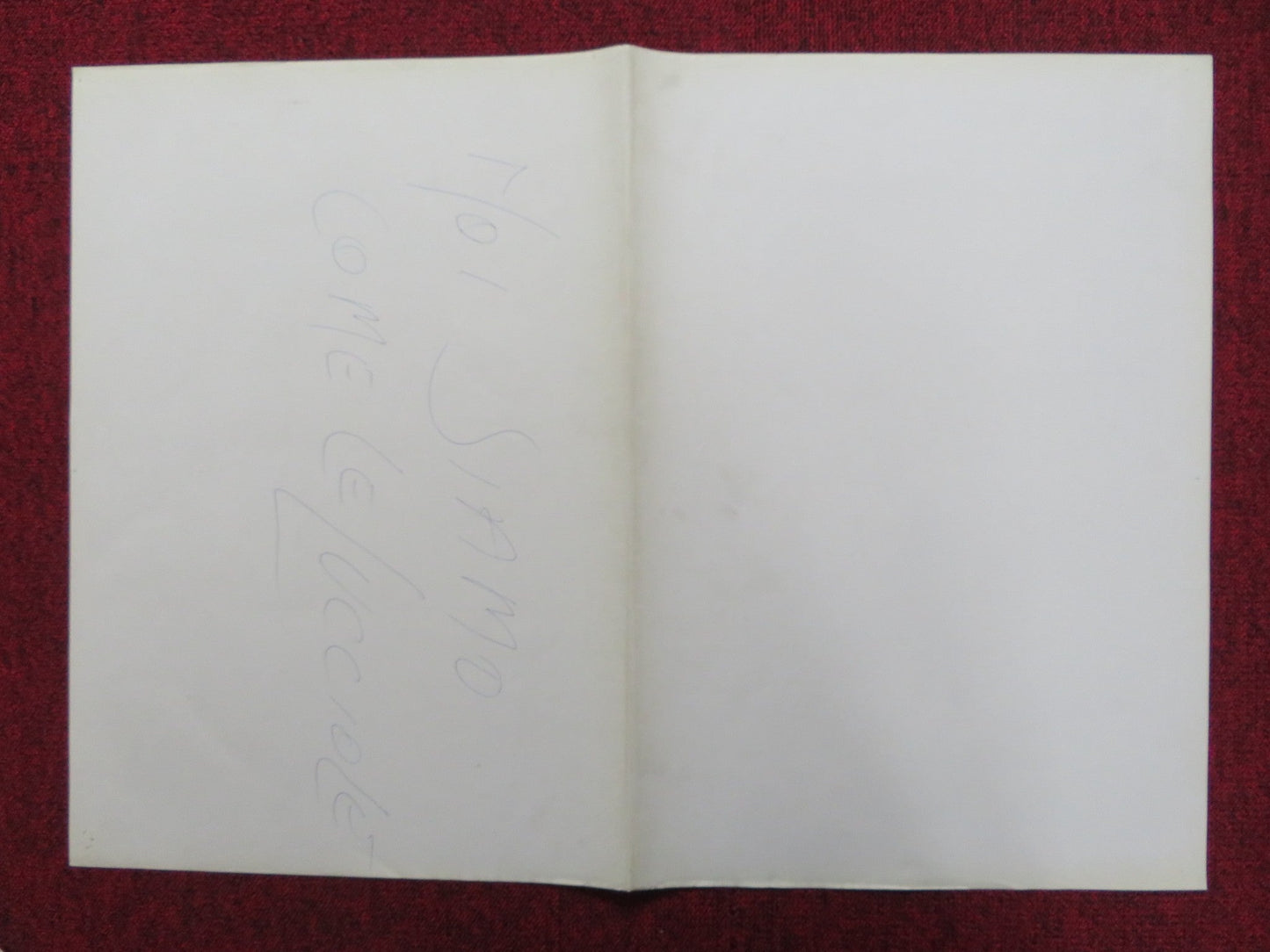 NO SIAM COME LE LUCCIOLE - E ITALIAN FOTOBUSTA POSTER ROBERT HOFFMAN 1976 Rendezvous Cinema Movie posters