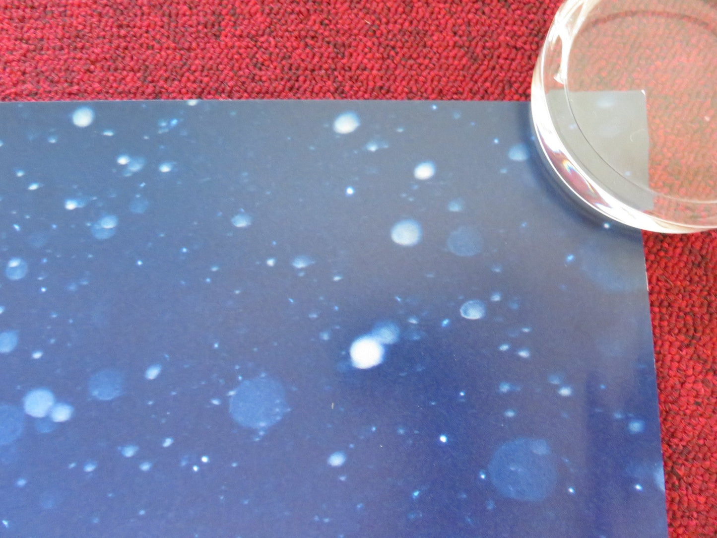 PADDINGTON & PADDINGTON 2 UK QUAD ROLLED POSTER HUGH BONNEVILLE BEN WHISHAW 2024 Rendezvous Cinema Movie posters