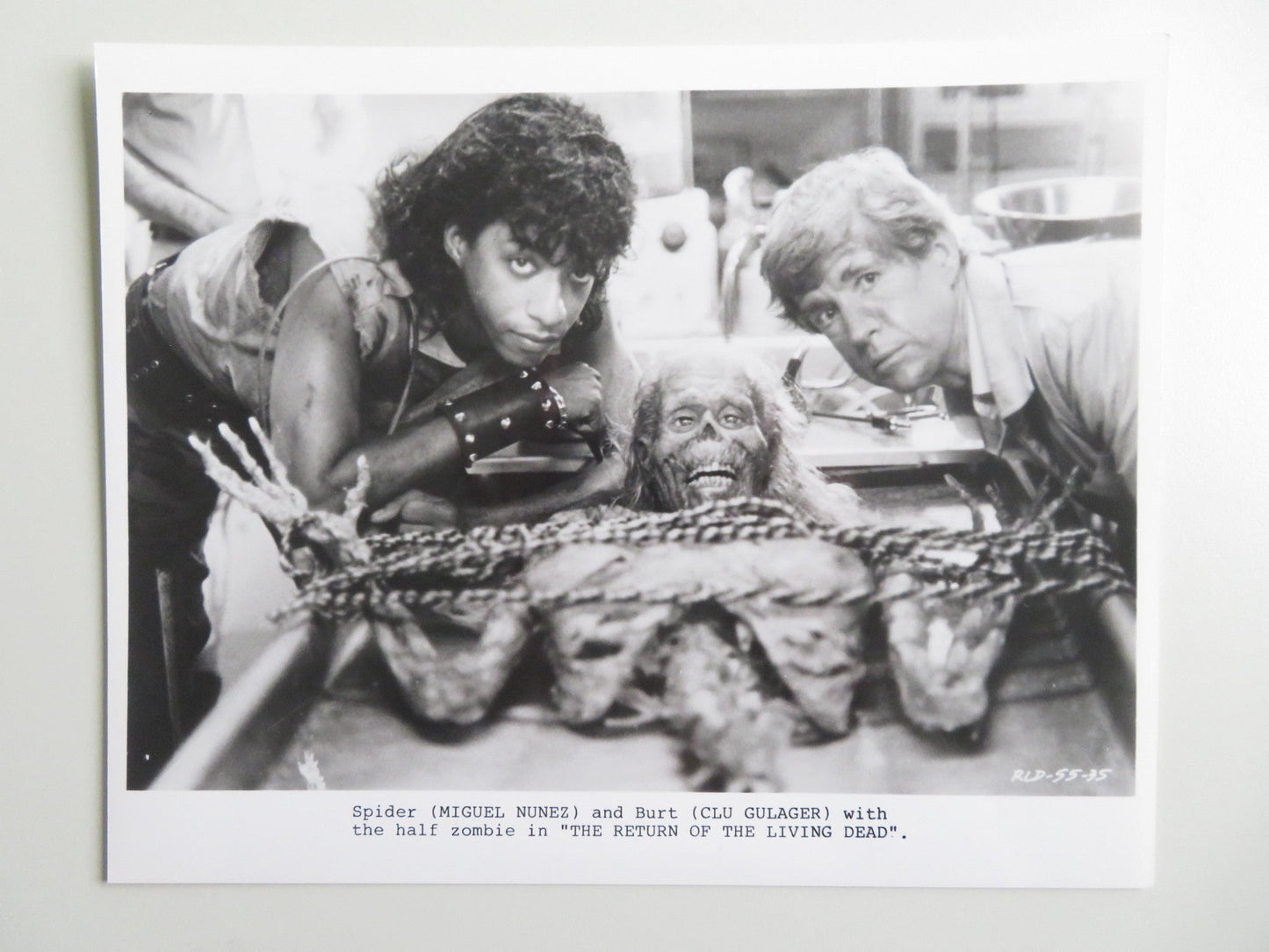 RETURN OF THE LIVING DEAD MOVIE STILL PHOTO LOT OF 5 LINNEA QUIGLEY 1985 Movie posters