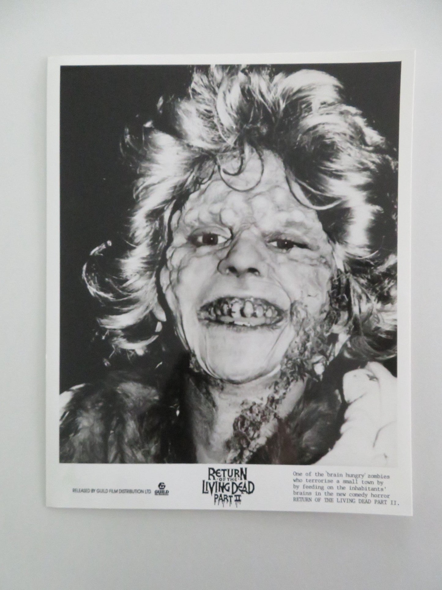 RETURN OF THE LIVING DEAD PART II MOVIE STILL PHOTO LOT OF 5 DANA ASHBROOK 1988 Movie posters
