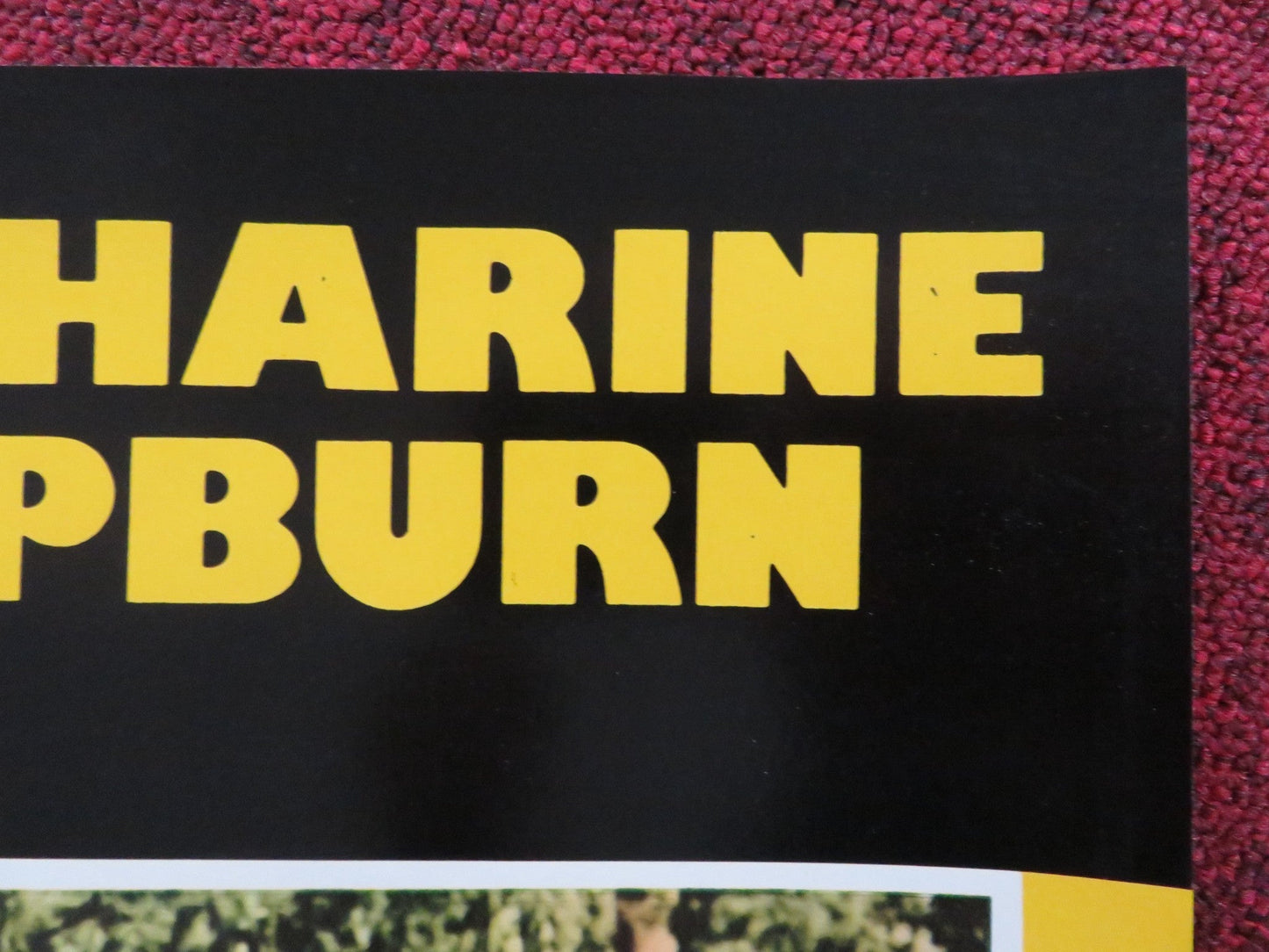 ROOSTER COGBURN - A ITALIAN FOTOBUSTA POSTER JOHN WAYNE KATHERINE HEPBURN 1975 Rendezvous Cinema Movie posters