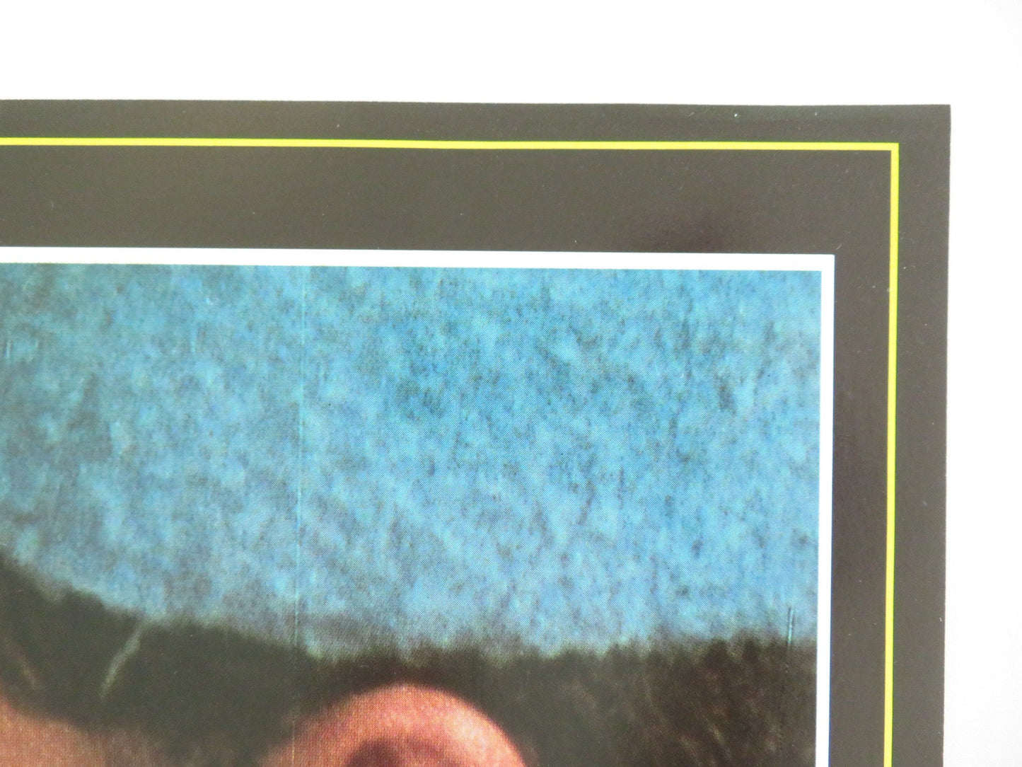 SEX AND EROS - B ITALIAN FOTOBUSTA POSTER LILY LI LEBY NGAI DRAGON LUK 1994 Movie posters