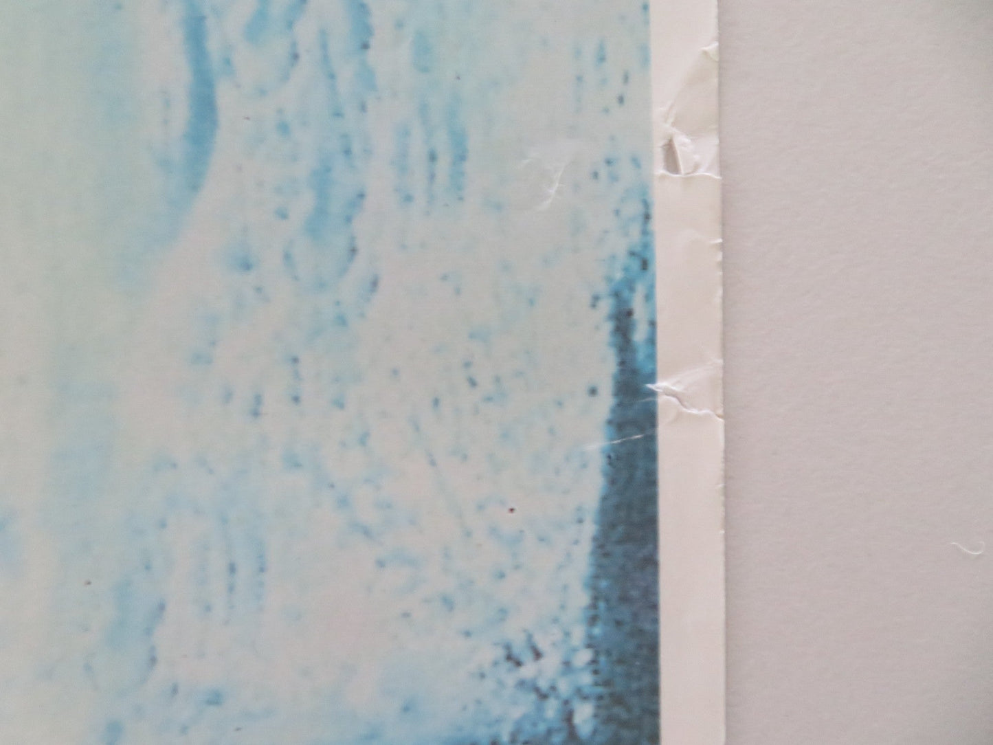 SHADOW OF THE WOLF VHS VIDEO POSTER ROLLED LOU DIAMOND PHILLIPS 1992 Movie posters