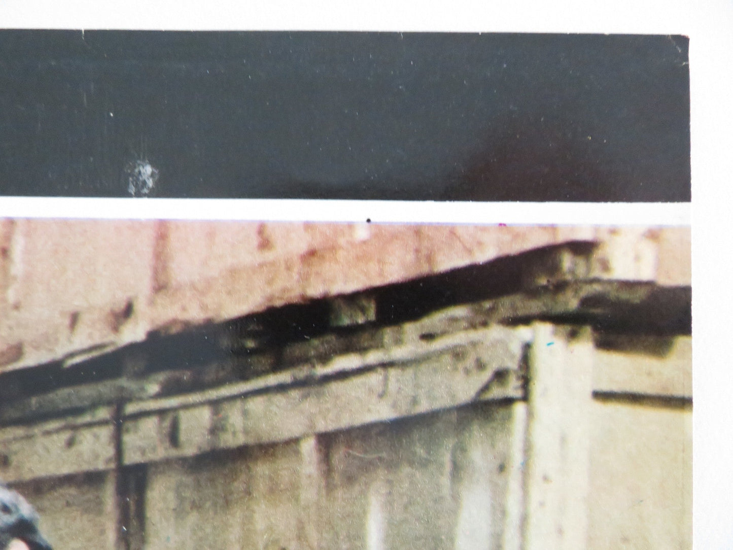 SHAMUS - A ITALIAN FOTOBUSTA POSTER BURT REYNOLDS DYAN CANNON 1973 Rendezvous Cinema Movie posters