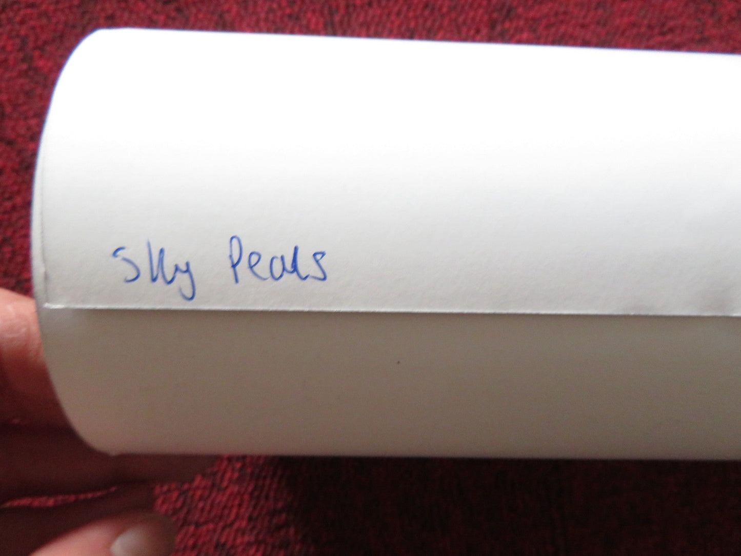 SKY PEALS UK QUAD ROLLED POSTER FARAZ AYUB NATALIE GAVIN 2023 Rendezvous Cinema Movie posters