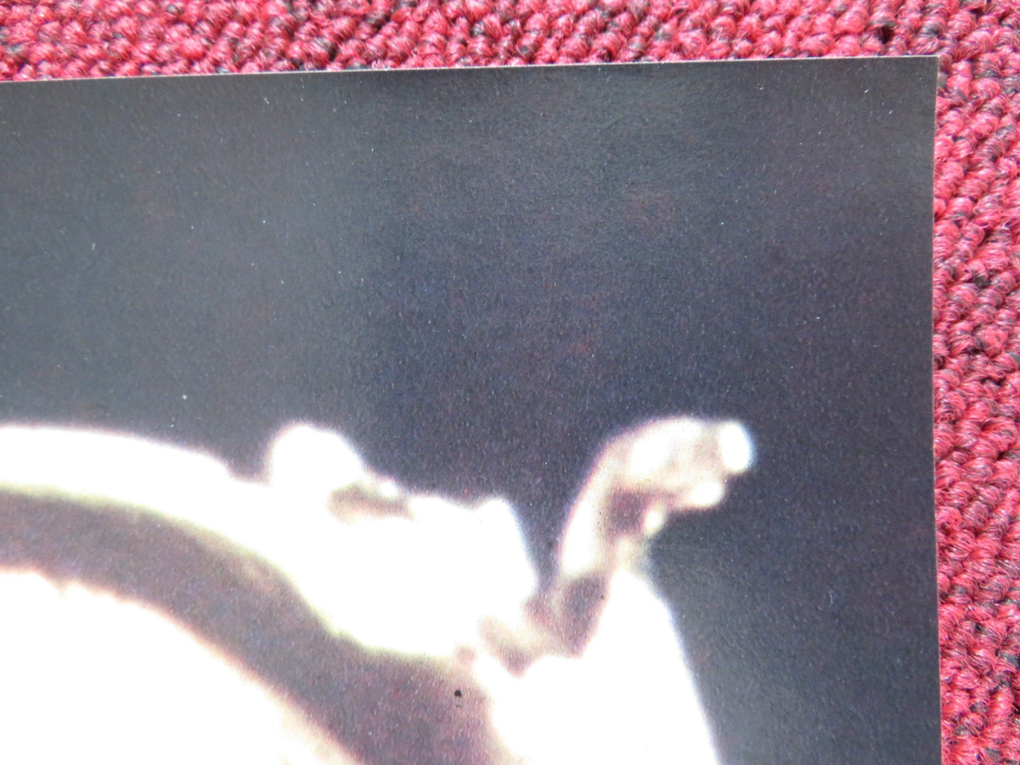 SPHINX - A ITALIAN FOTOBUSTA POSTER LESLEY - ANNE DOWN FRANK LANGELLA 1981 Rendezvous Cinema Movie posters