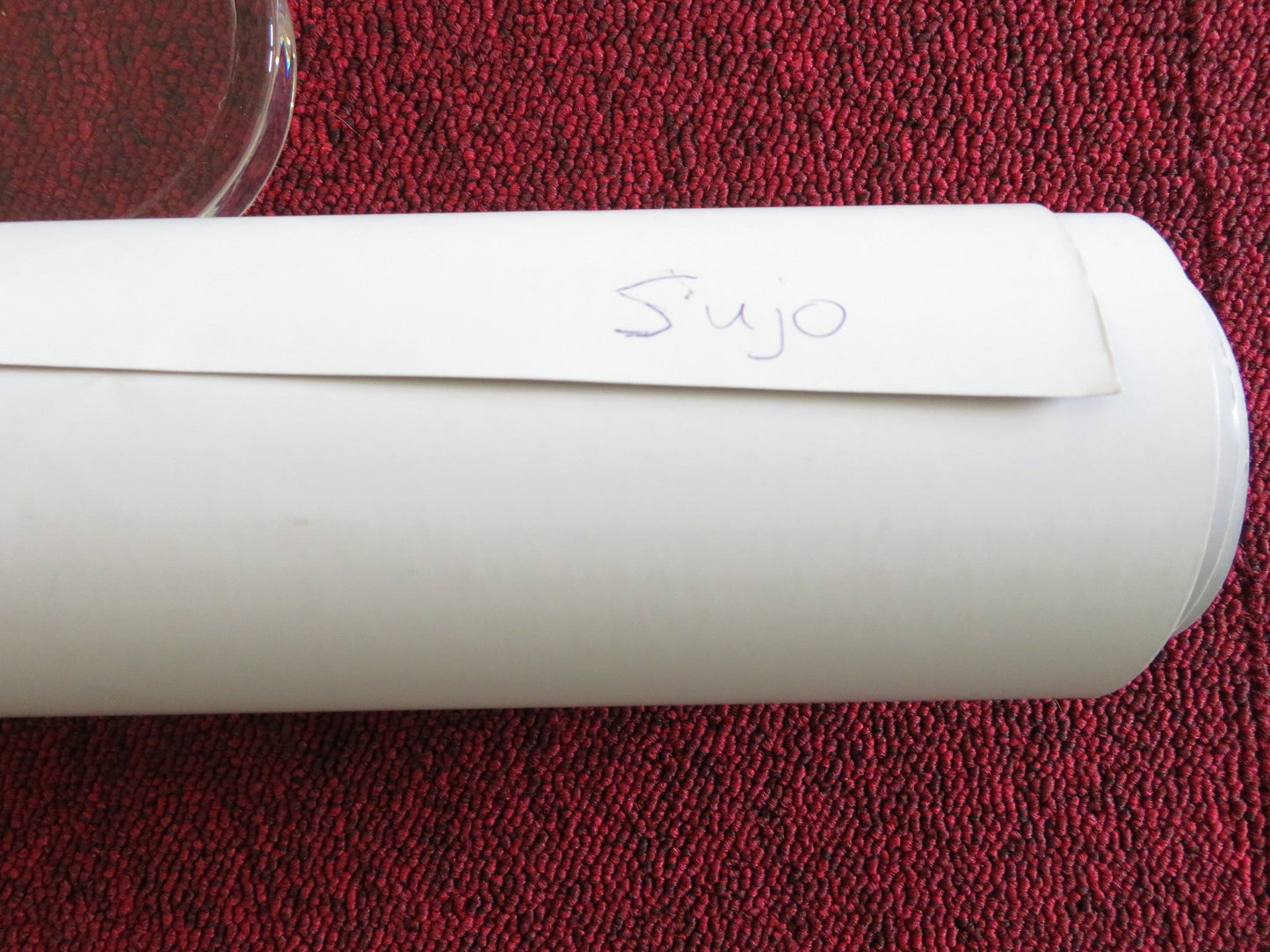 SUJO UK QUAD ROLLED POSTER JUAN JESUS VARELA YADIRA PEREZ 2024 Rendezvous Cinema Movie posters