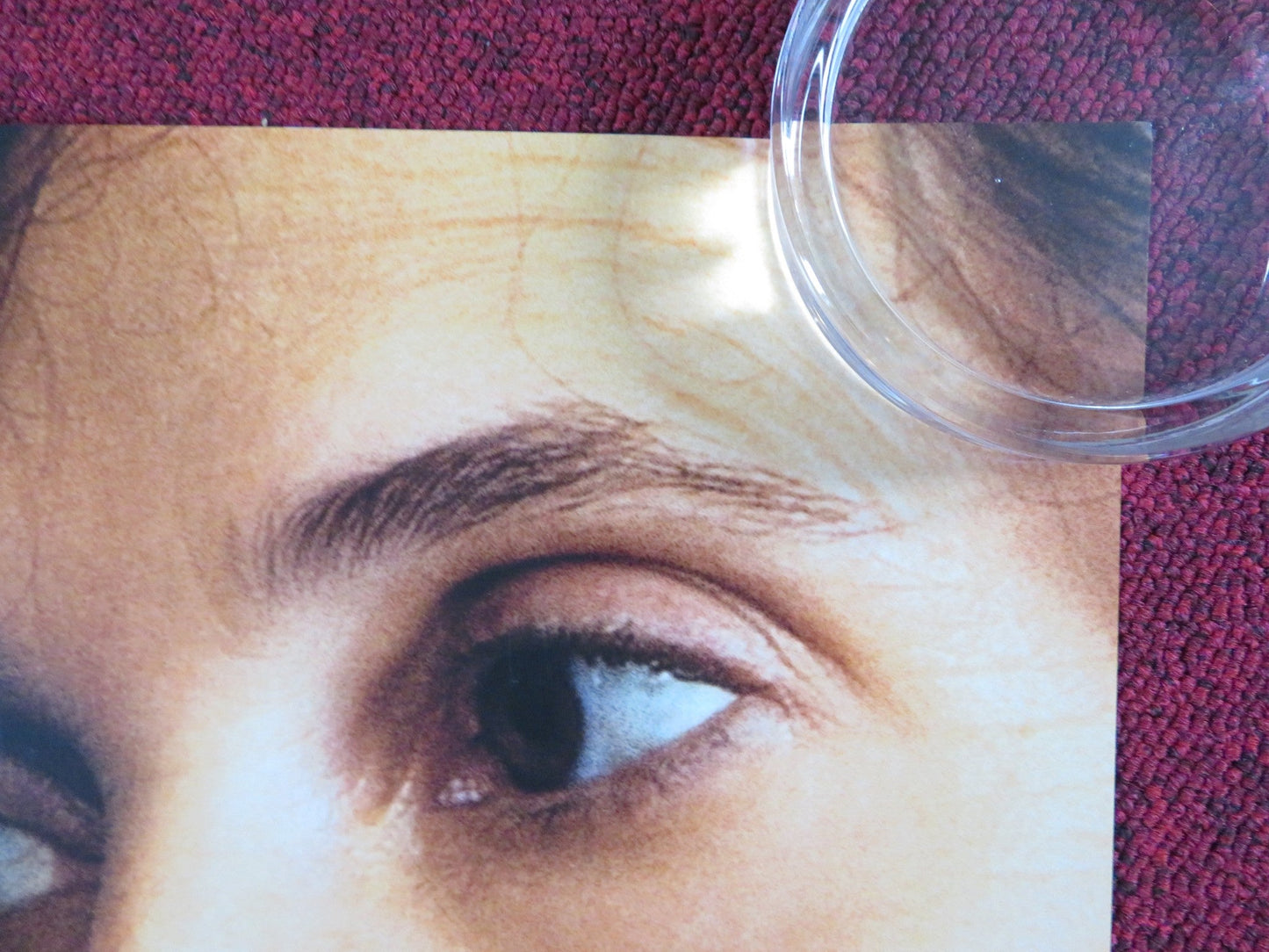 SWORD OF TRUST US ONE SHEET ROLLED POSTER MARC MARON JON BASS 2019 Rendezvous Cinema Movie posters