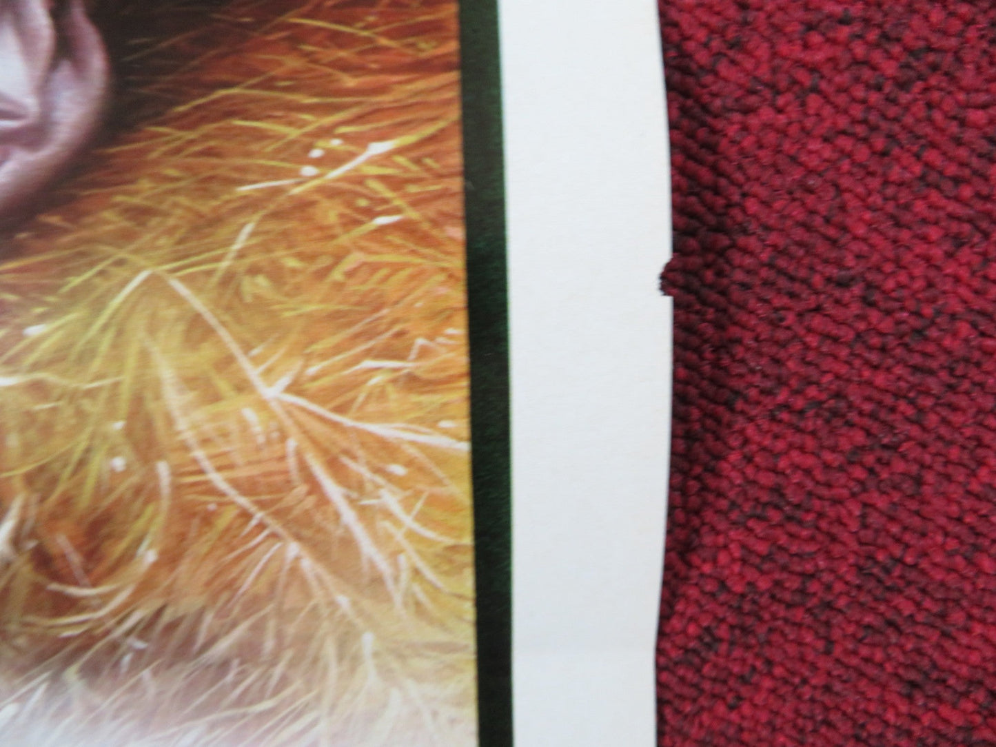 TENDER COUSINS ITALIAN LOCANDINA POSTER THEIRRY TEVINI ANJA SHUTE 1981 Rendezvous Cinema Movie posters