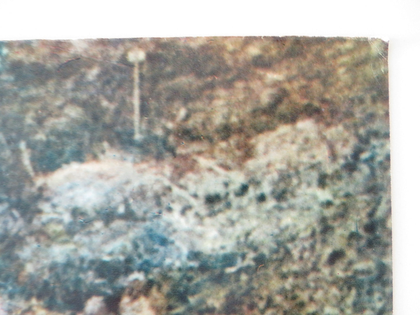 THARUS, SON OF ATTILA - E ITALIAN FOTOBUSTA POSTER JEROME COURTLAND 1962 Rendezvous Cinema Movie posters