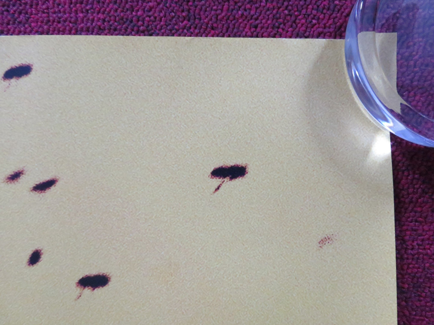 THE BEEKEEPER UK QUAD ROLLED POSTER JASON STATHAM JEREMY IRONS 2024 Rendezvous Cinema Movie posters