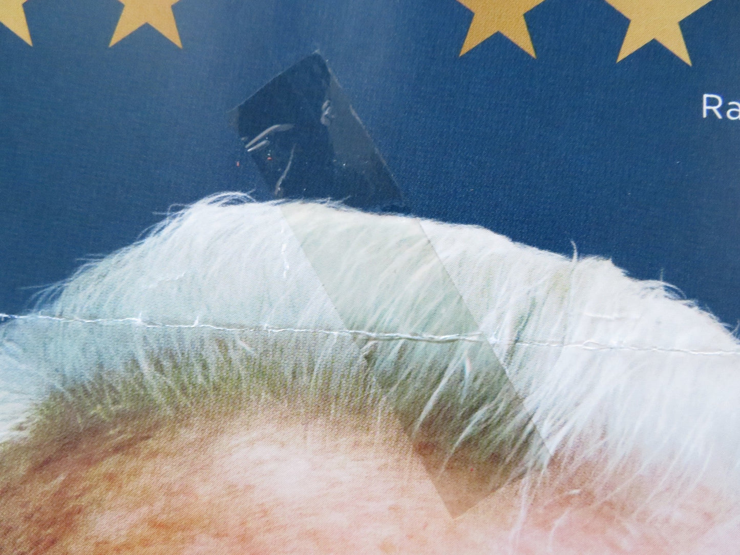 THE FATHER UK QUAD ROLLED POSTER ANTHONY HOPKINS OLIVIA COLMAN 2020 Rendezvous Cinema Movie posters