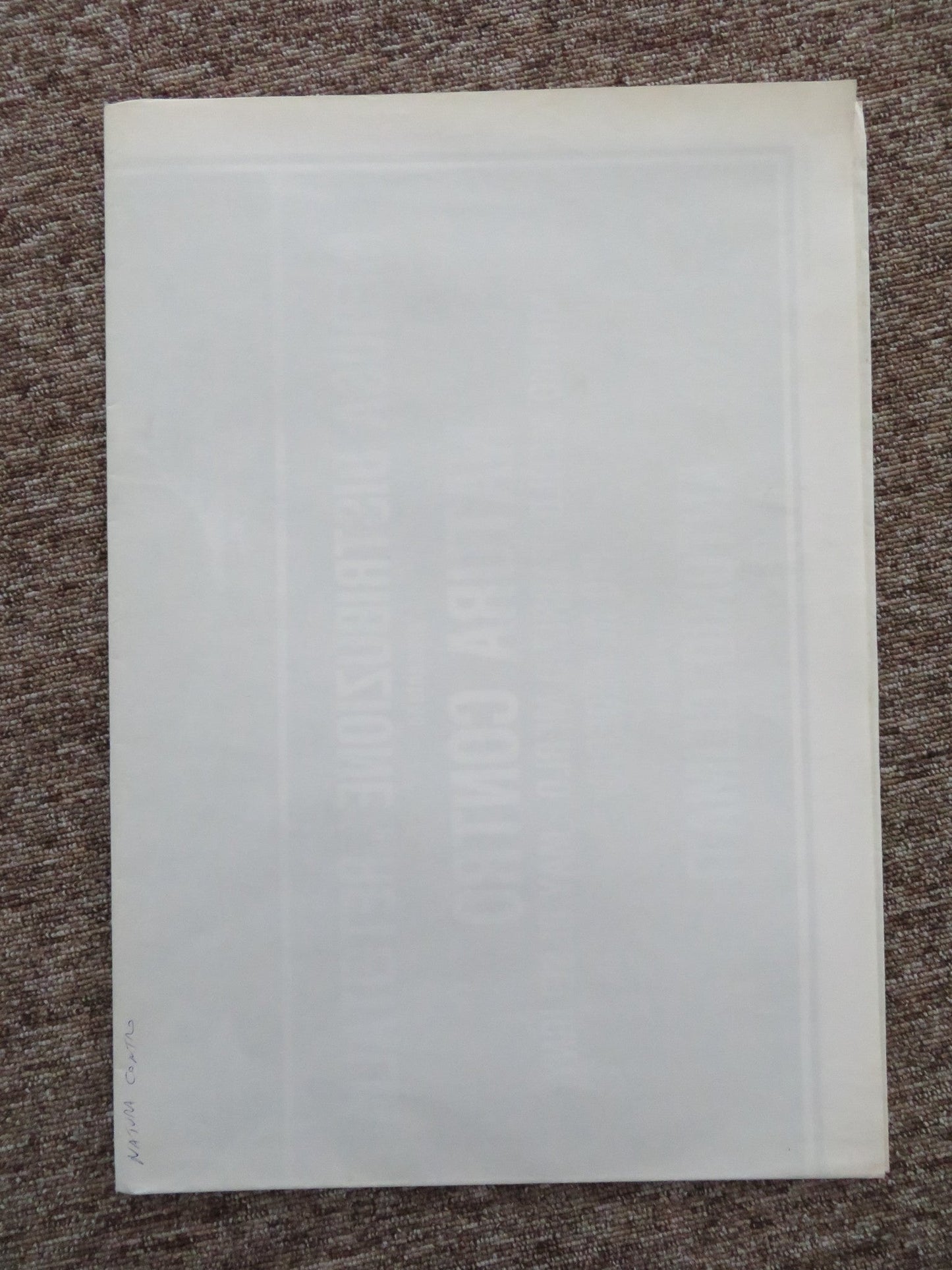 THE GREEN INFERNO ITALIAN 2 FOGLIO POSTER MARCO MERLO FABRIZO MERLO 1988 Rendezvous Cinema Movie posters