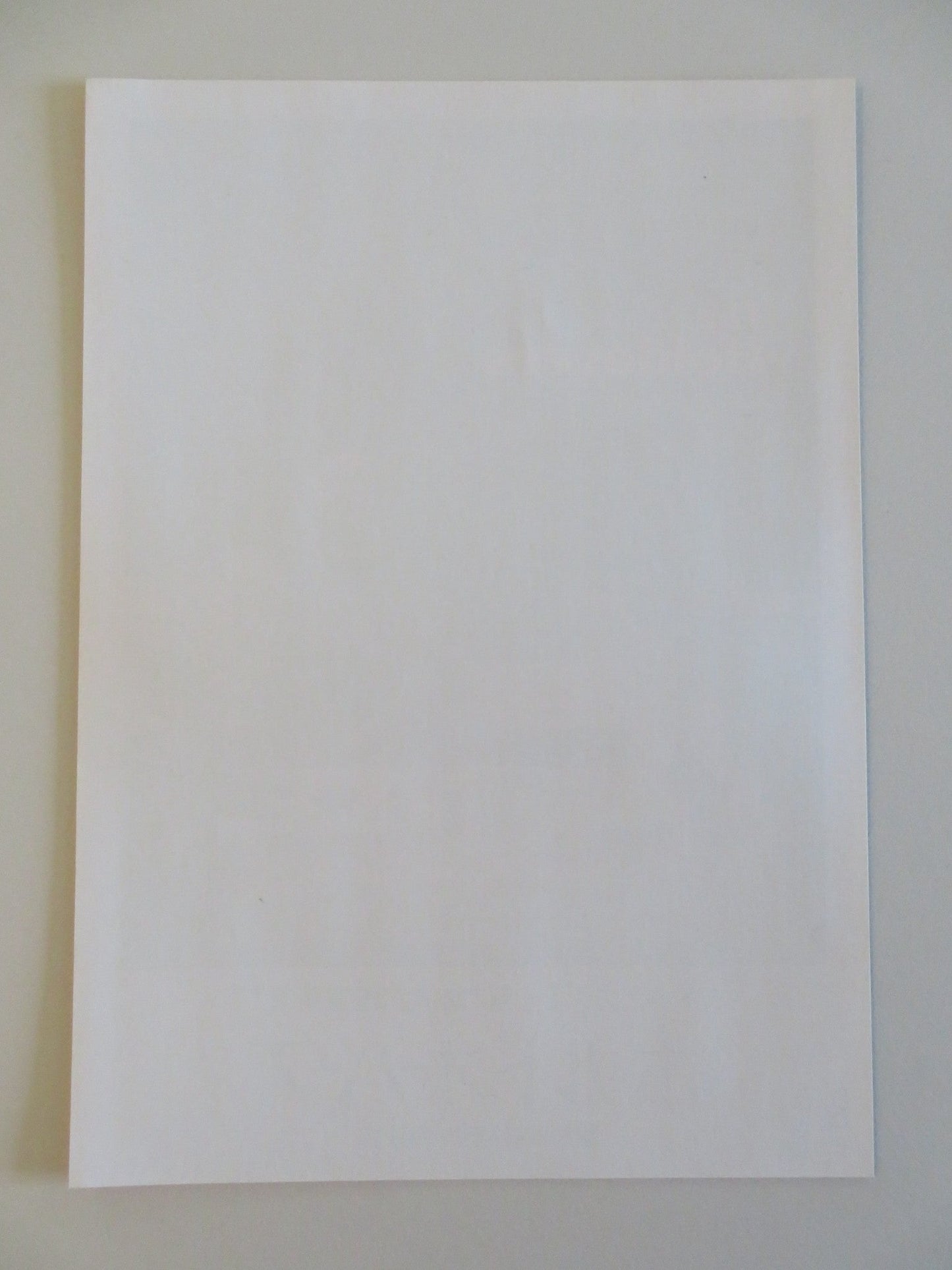 THE HOLDOVERS - B JAPANESE CHIRASHI (B5) POSTER PAUL GIAMATTI DOMINIC SESSA 2023 Rendezvous Cinema Movie posters