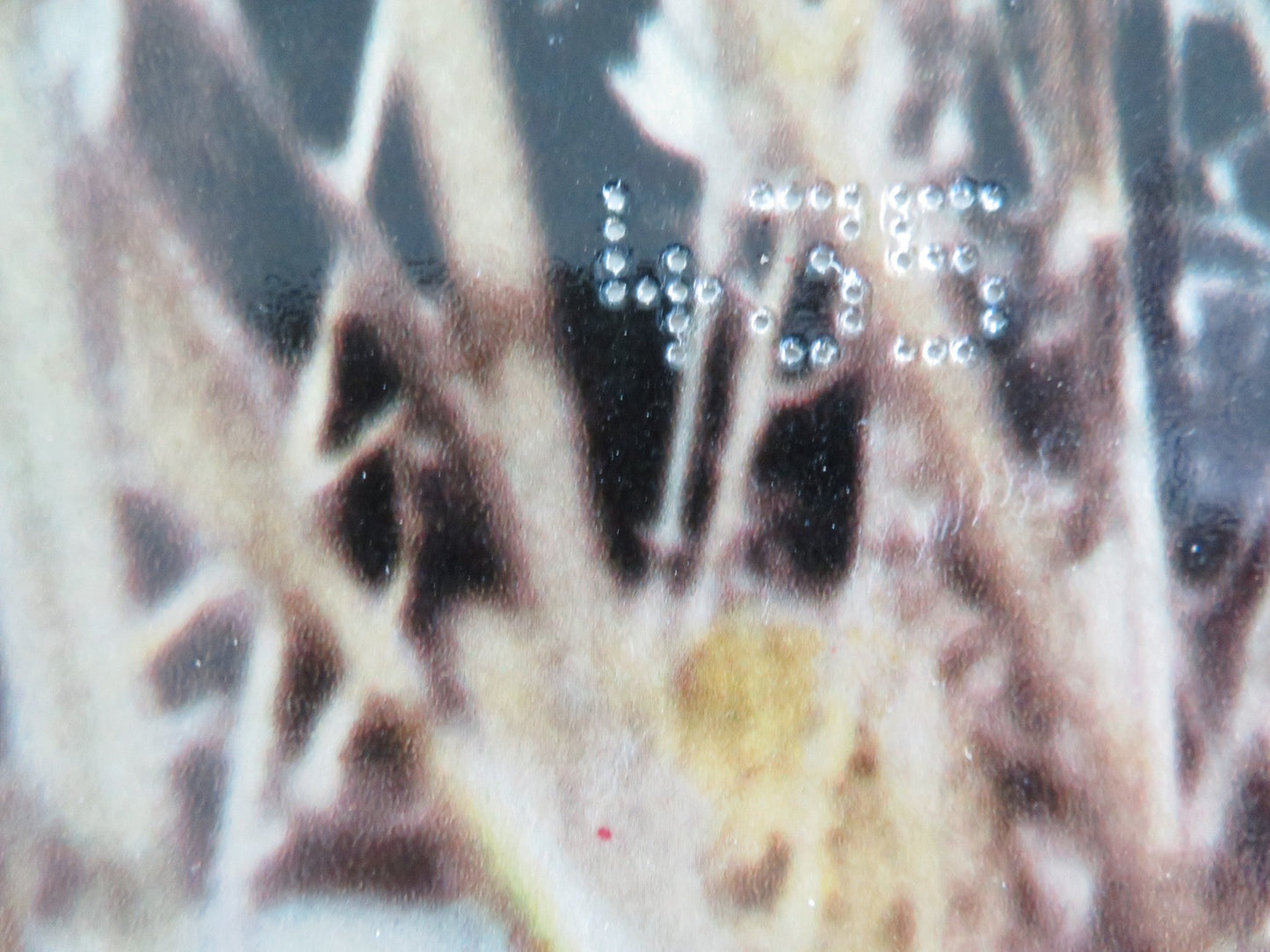 THE NAKED RUNNER - A ITALIAN FOTOBUSTA POSTER FRANK SINATRA PETER VAUGHAN 1967 Rendezvous Cinema Movie posters