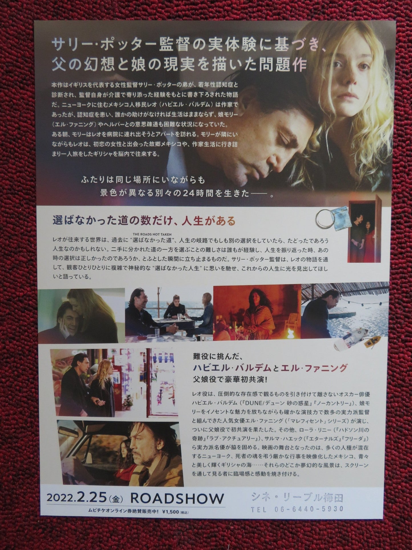 THE ROADS NOT TAKEN JAPANESE CHIRASHI (B5) POSTER ELLE FANNING J.BARDEM 2020 Movie posters
