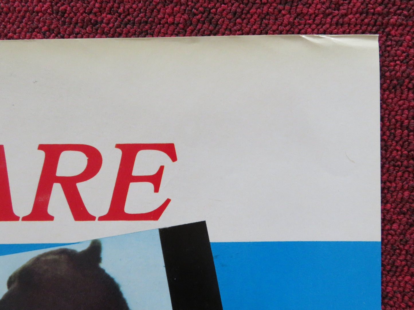 THE SEA GYPSIES - J ITALIAN FOTOBUSTA POSTER ROBERT LOGAN MIKKI JAMISON 1978 Rendezvous Cinema Movie posters