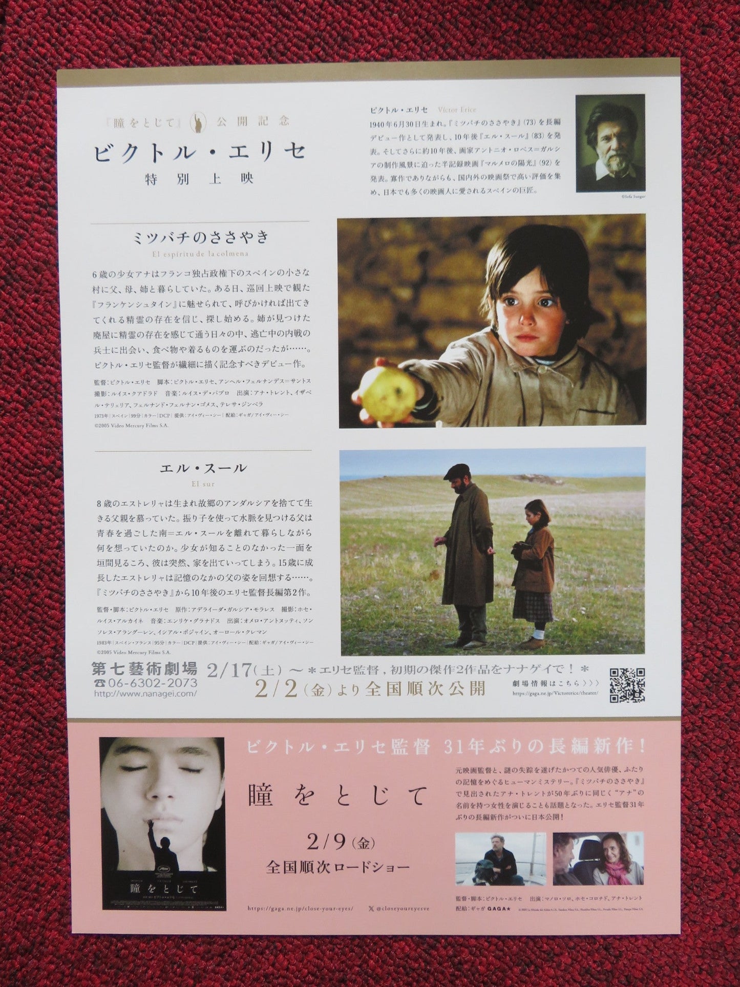 THE SPIRIT OF THE BEEHIVE JAPANESE CHIRASHI (B5) POSTER FERNANDO FERNAN 2005 Rendezvous Cinema Movie posters
