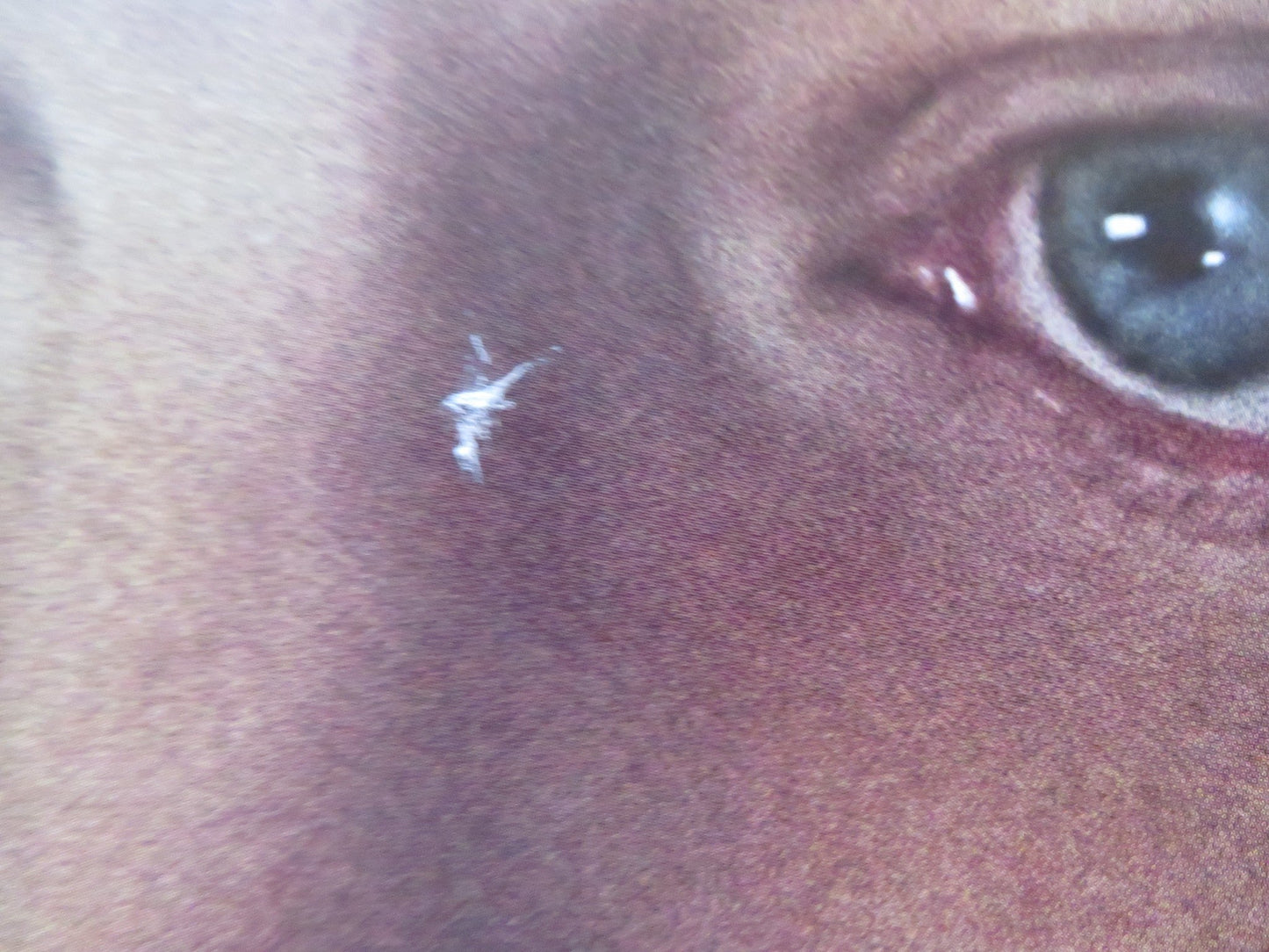 THE WHALE UK QUAD ROLLED POSTER BRENDAN FRASER SADIE SINK 2022 Rendezvous Cinema Movie posters