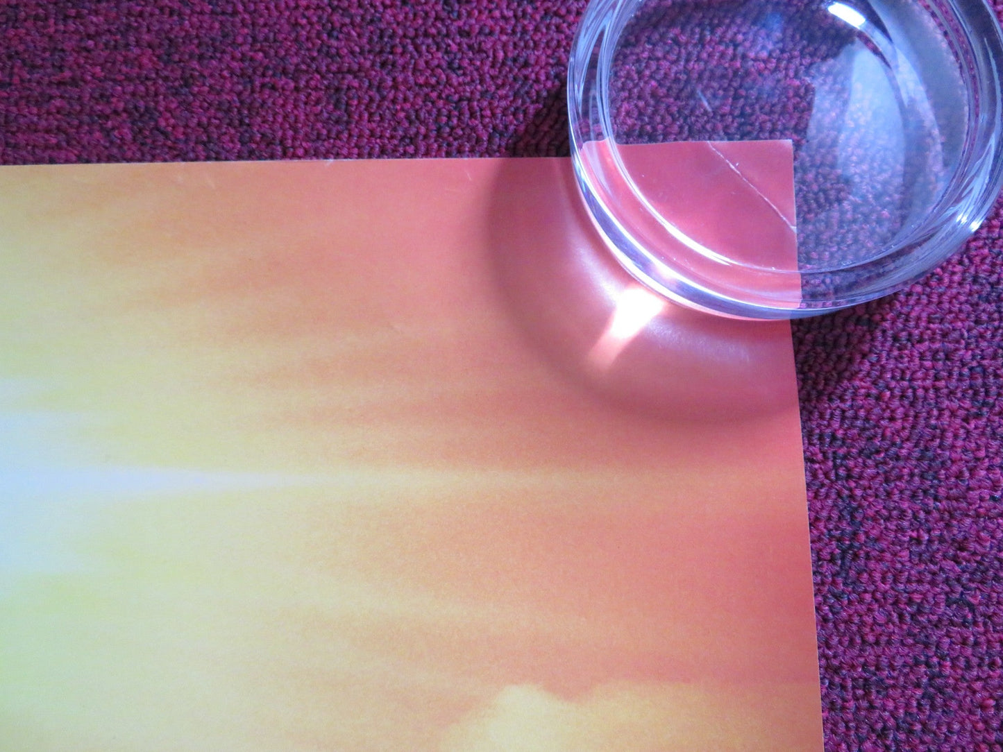 THE WILD THORNBERRYS UK QUAD ROLLED POSTER TIM CURRY LYNN REDGRAVE 2002 Rendezvous Cinema Movie posters