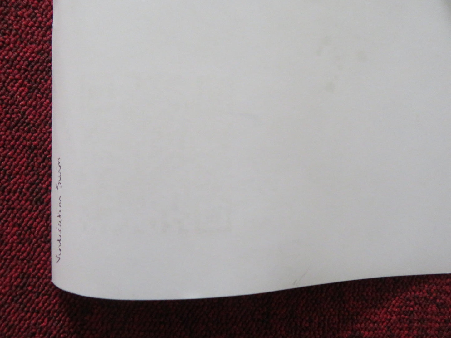 VINDICATION SWIM - B UK QUAD ROLLED POSTER KIRSTEN CALLAGHAN JOHN LOCKE 2024 Rendezvous Cinema Movie posters