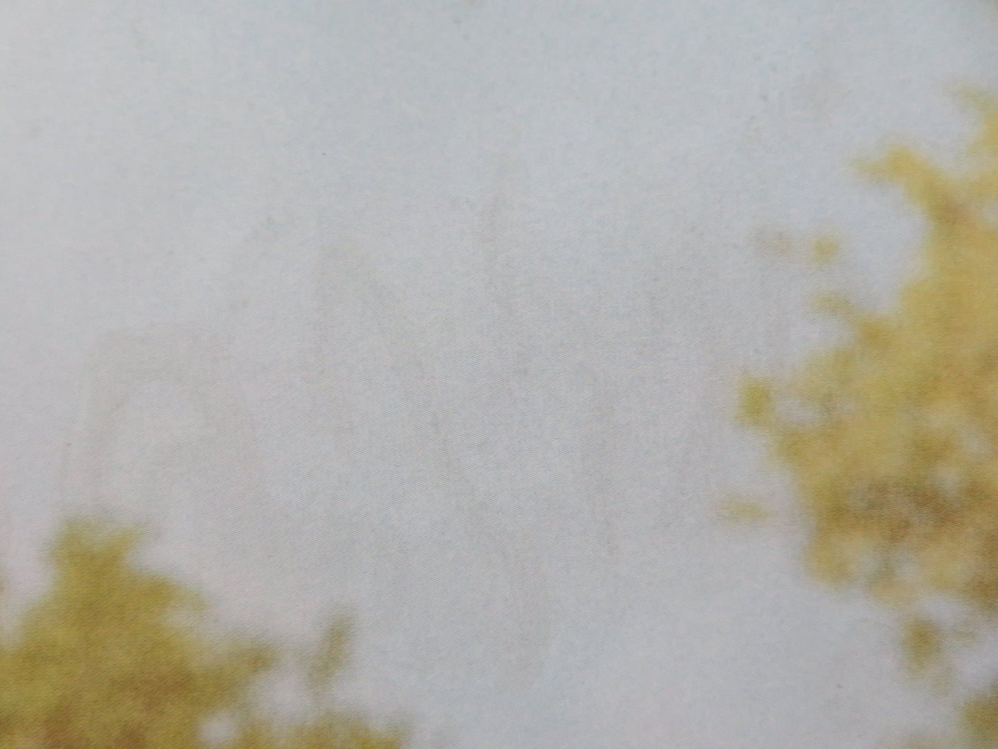 WE BOUGHT A ZOO UK QUAD ROLLED POSTER MATT DAMON SCARLETT JOHANSSON 2011 Movie posters