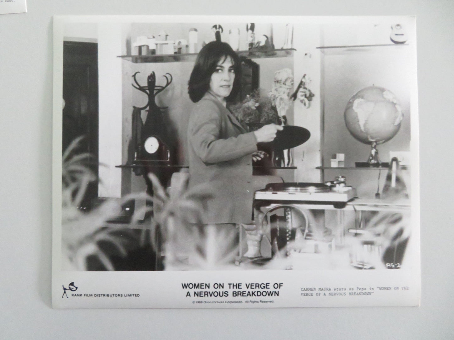 WOMEN ON THE VERGE OF A NERVOUS BREAKDOWN MOVIE STILL PHOTO LOT OF 8 1988 Movie posters