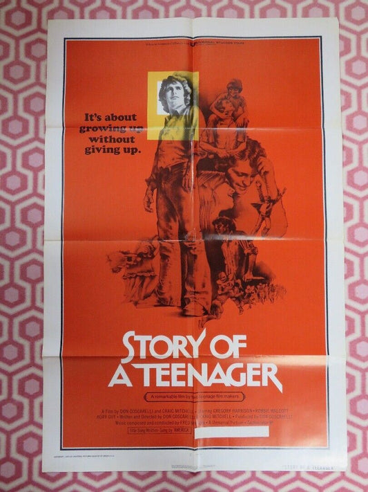 STORY OF A TEENAGER / Jim the World's Greatest US ONE SHEET POSTER 1975