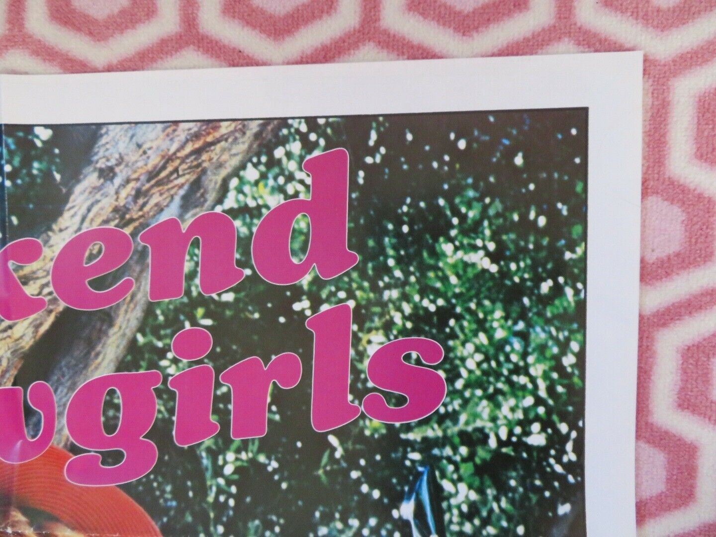 WEEKEND COWGIRLS ADULT FOLDED US ONE SHEET POSTER DEBBIE TRUELOVE 1982 - Rendezvous Cinema