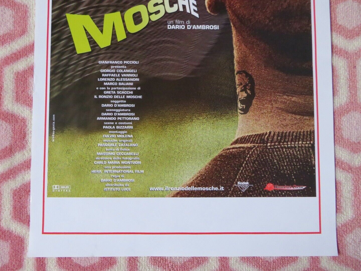 IL RONZIO DELLE MOSCHE ITALIAN LOCANDINA (27.5"x13") POSTER DARIO D'AMBROSI 2003 - Rendezvous Cinema