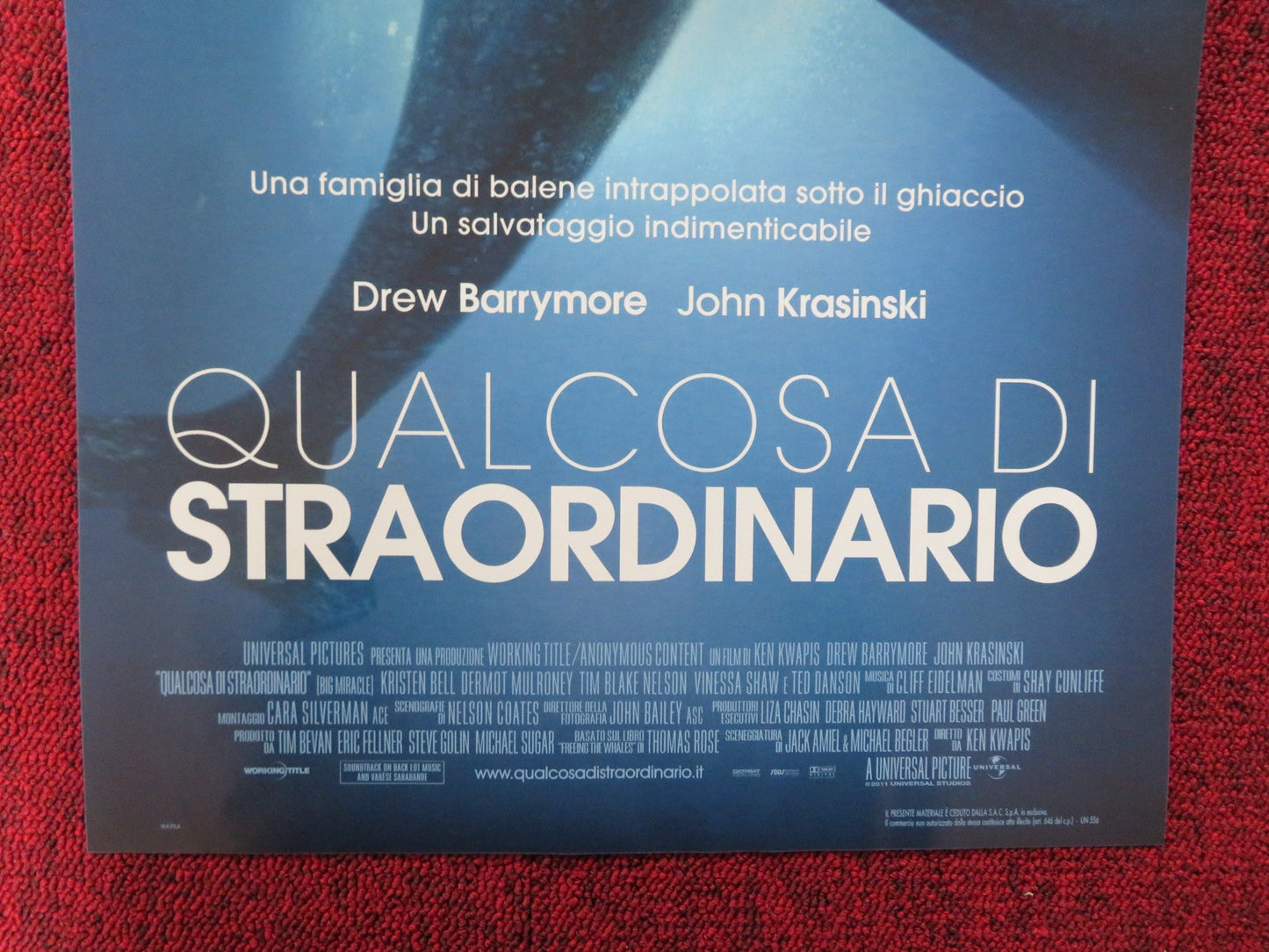 BIG MIRACLE ITALIAN LOCANDINA POSTER DREW BARRYMORE JOHN KRASINSKI 2012 Rendezvous Cinema Movie posters