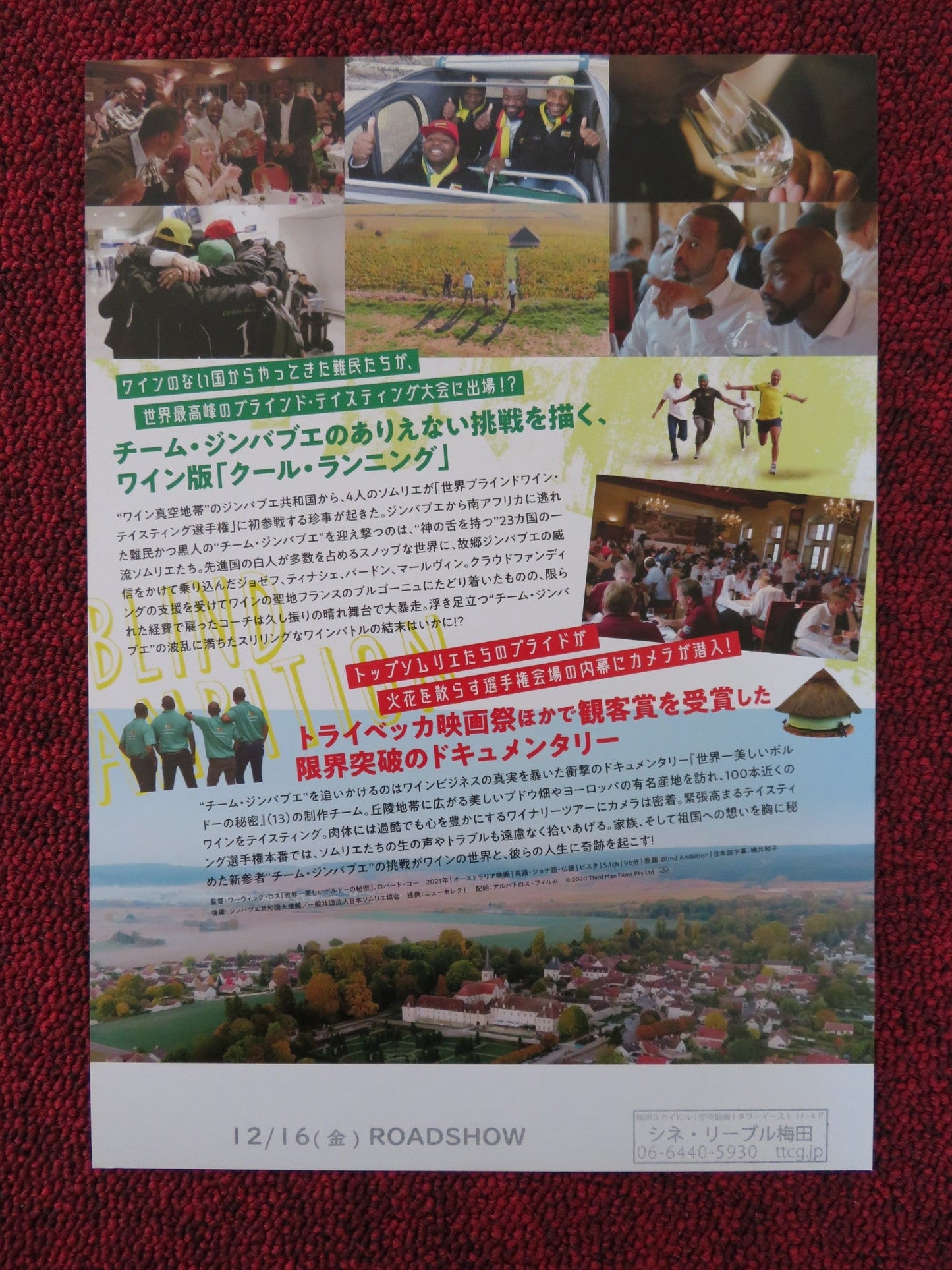 BLIND AMBITION JAPANESE CHIRASHI (B5) POSTER ROBERT COE 2021 Rendezvous Cinema Movie posters