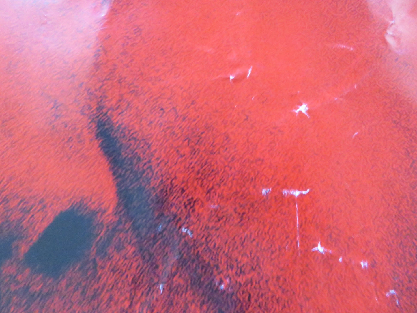 BLOOD WORK UK QUAD (30"x 40") ROLLED POSTER CLINT EASTWOOD JEFF DANIELS 2002 Rendezvous Cinema Movie posters