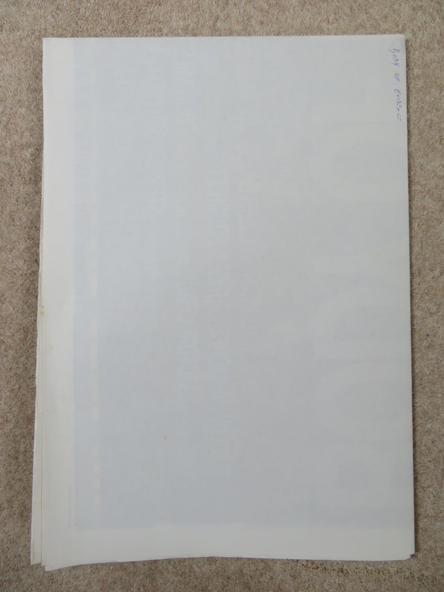 BODY OF EVIDENCE ITALIAN 2 FOGLIO POSTER MADONNA WILLEM DAFOE 1992 Rendezvous Cinema Movie posters