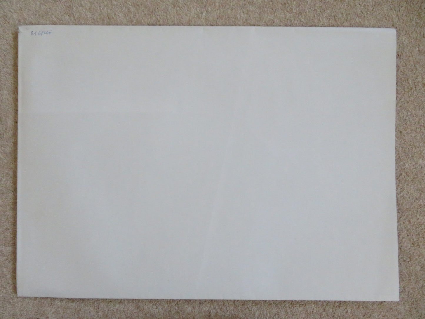 BRAVE ITALIAN 2 FOGLIO POSTER DISNEY KELLY MACDONALD BILLY CONNOLLY 2012 Rendezvous Cinema Movie posters