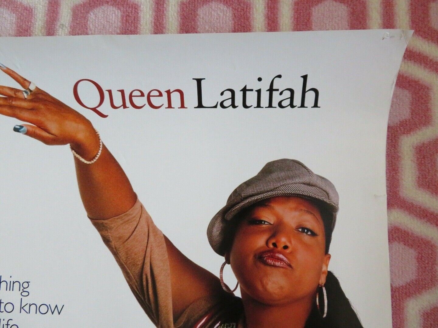 BRINGING DOWN THE HOUSE ONE SHEET ROLLED POSTER STEVE MARTIN QUEEN LATIFAH 2003 Movie posters