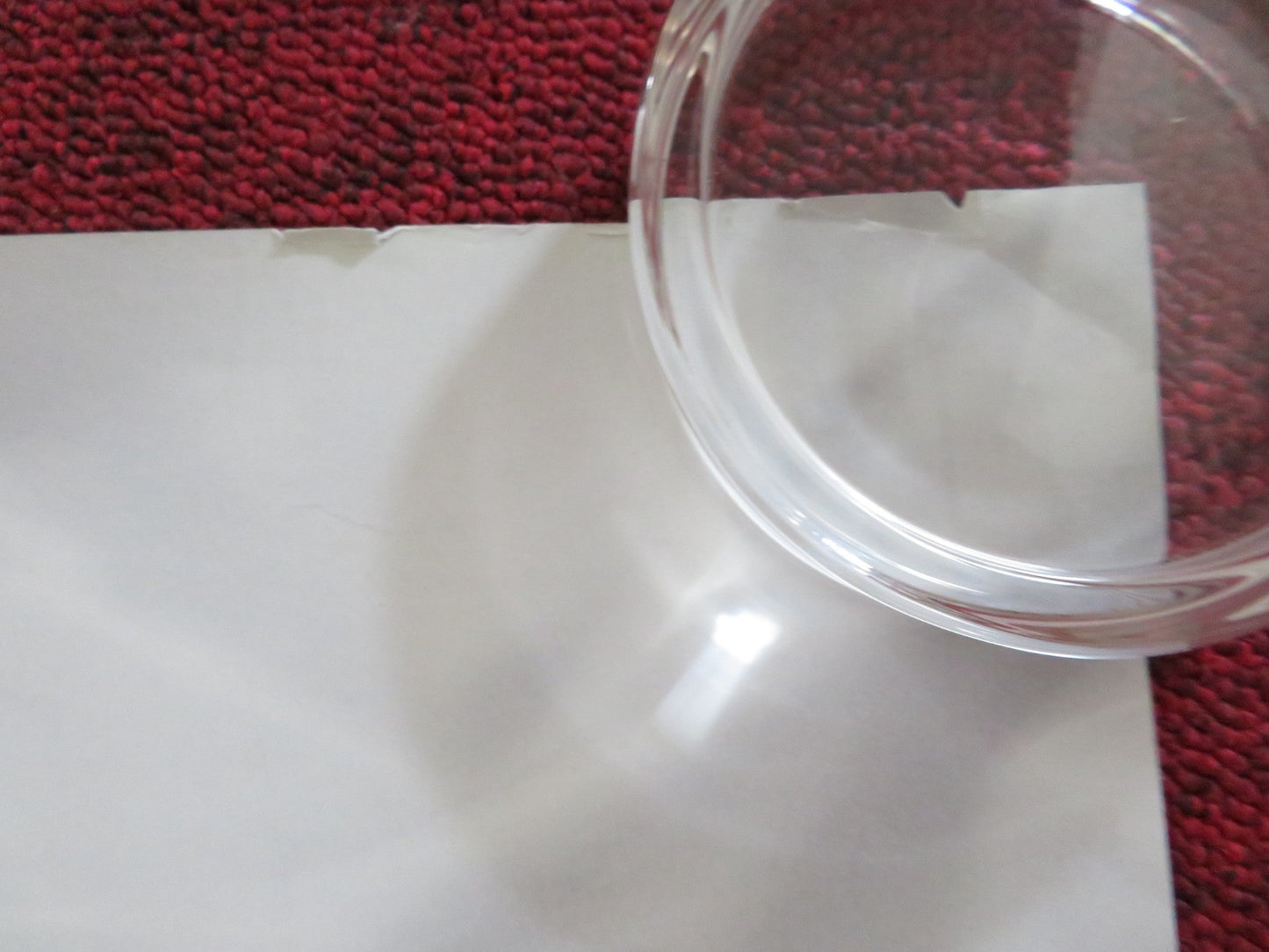 BROTHER BEAR - B UK QUAD ROLLED POSTER JOAQUIN PHOENIX JEREMY SUAREZ 2003 Rendezvous Cinema Movie posters