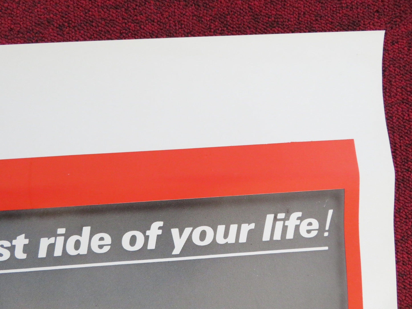 CADILLAC NAMED DESIRE US ONE SHEET ROLLED POSTER SHARON THORPE LOU MANN 1976 Rendezvous Cinema Movie posters