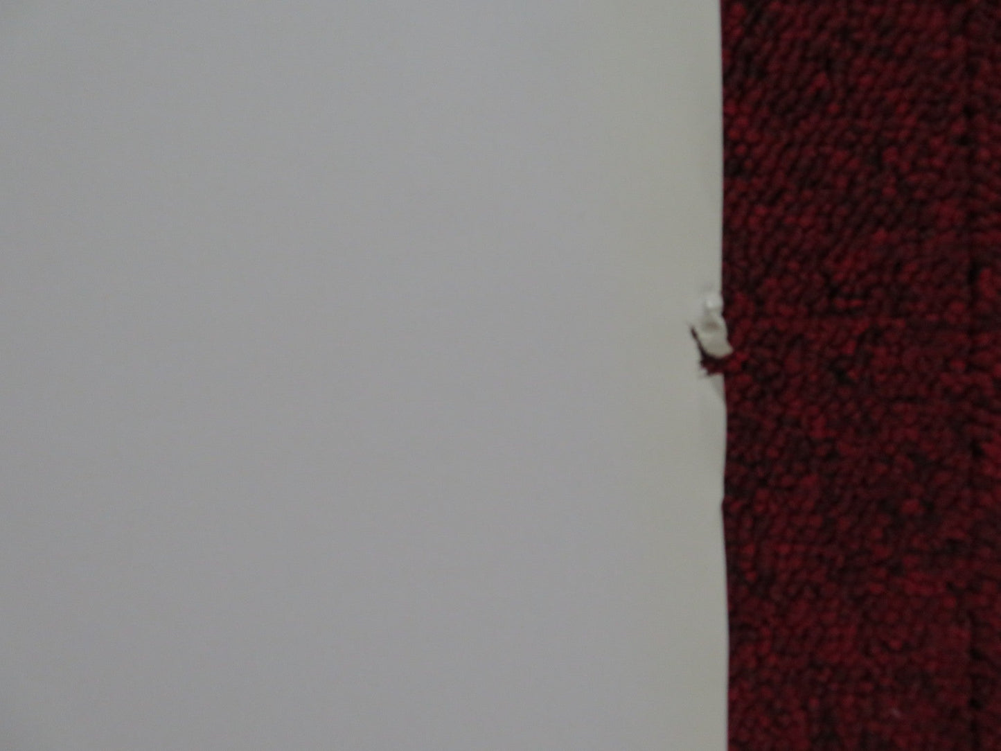 CALL OF THE WILD 3D ITALIAN LOCANDINA POSTER CHRISTOPHER LLOYD ARIEL GADE 2009 Rendezvous Cinema Movie posters