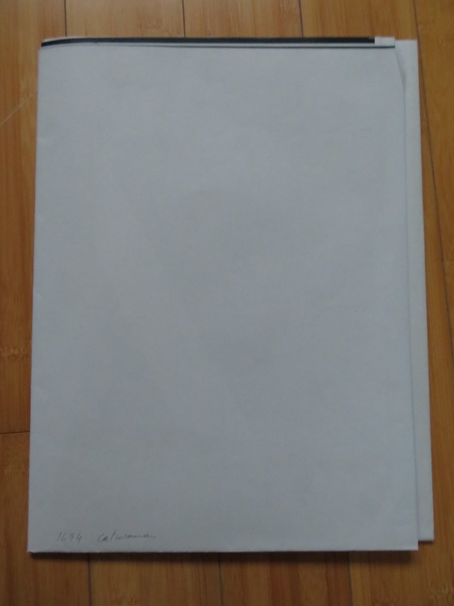 CATWOMAN FRENCH GRANDE POSTER HALLE BERRY SHARON STONE 2004 Rendezvous Cinema Movie posters