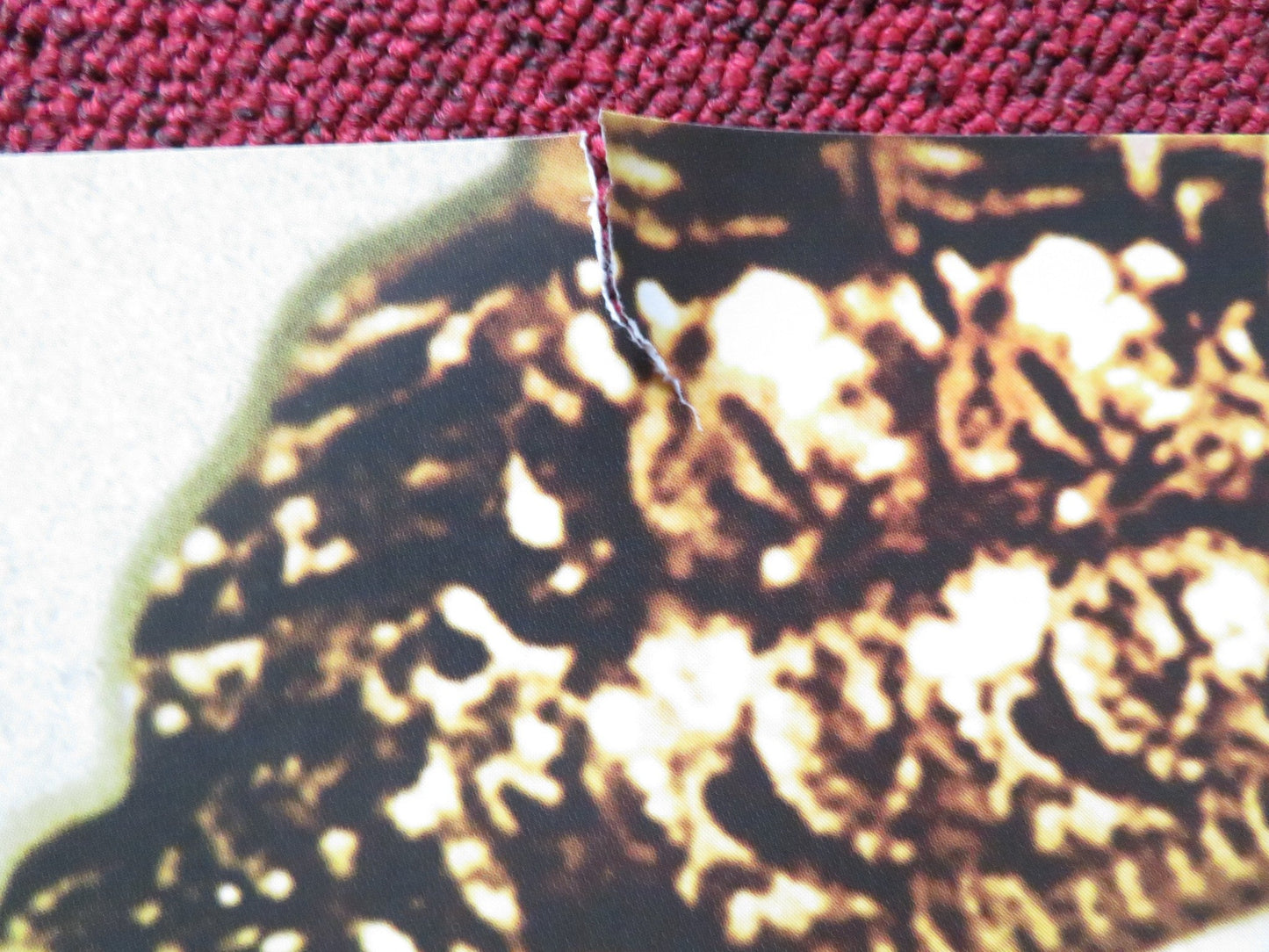 CLEOPATRA UK QUAD (30"x 40") ROLLED POSTER ELIZABETH TAYLOR RICHARD BURTON R2013 Rendezvous Cinema Movie posters